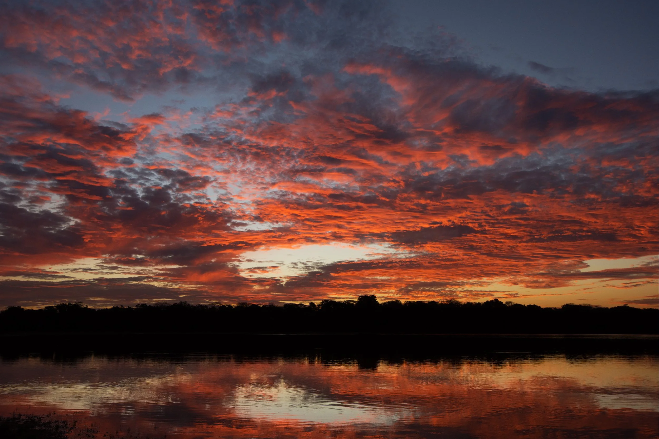 Pantanal Sunset I 8x12 JPG v 2.jpg