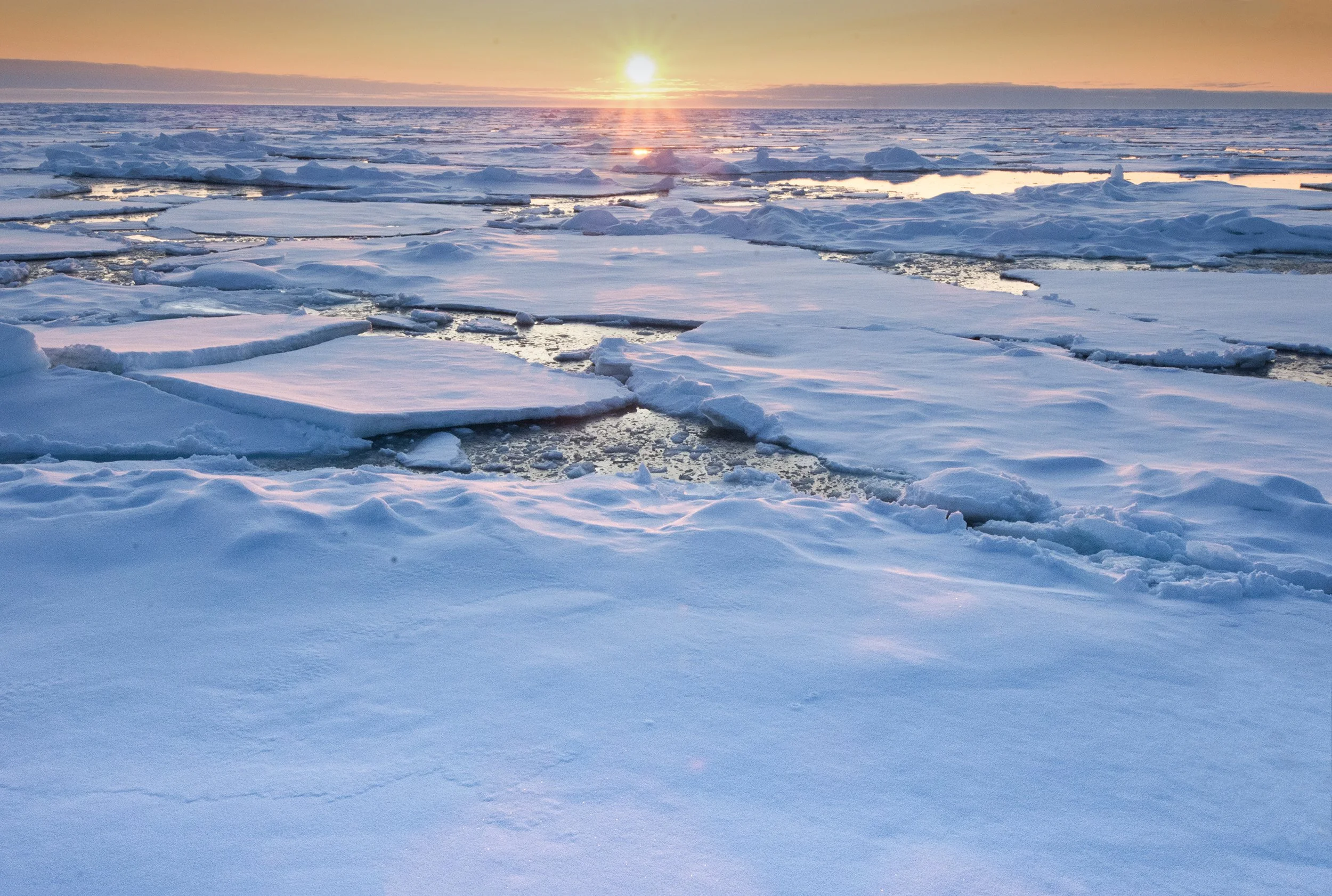 Midnight Sun I v 2 JPG.jpg