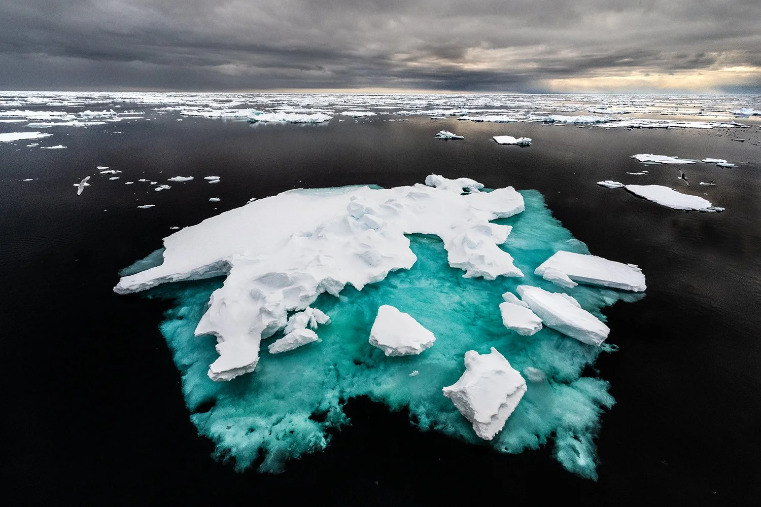 Ice Floe I JPG v 2.jpg