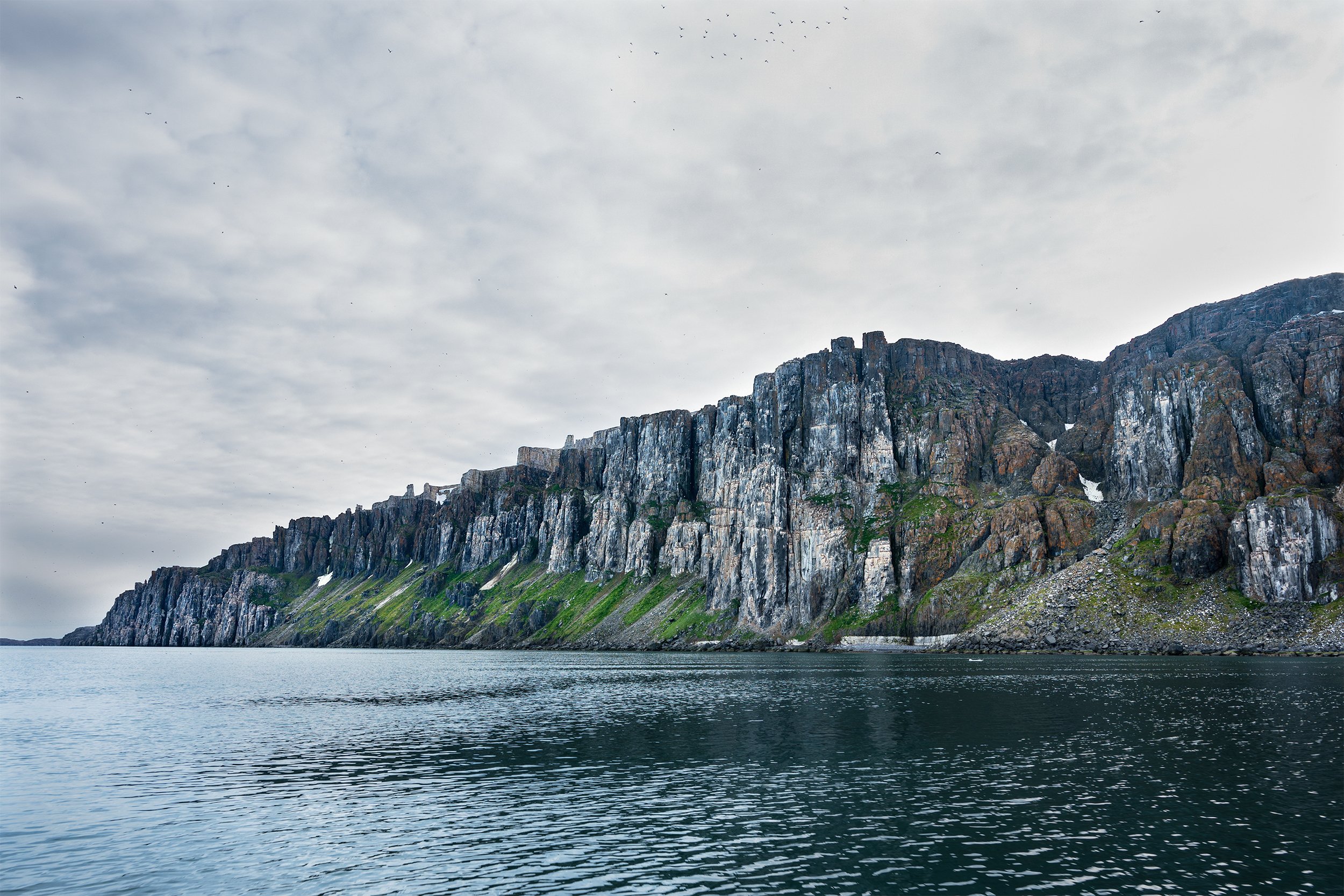 Alkefjellet Bird Cliff III PSD v 3.jpg