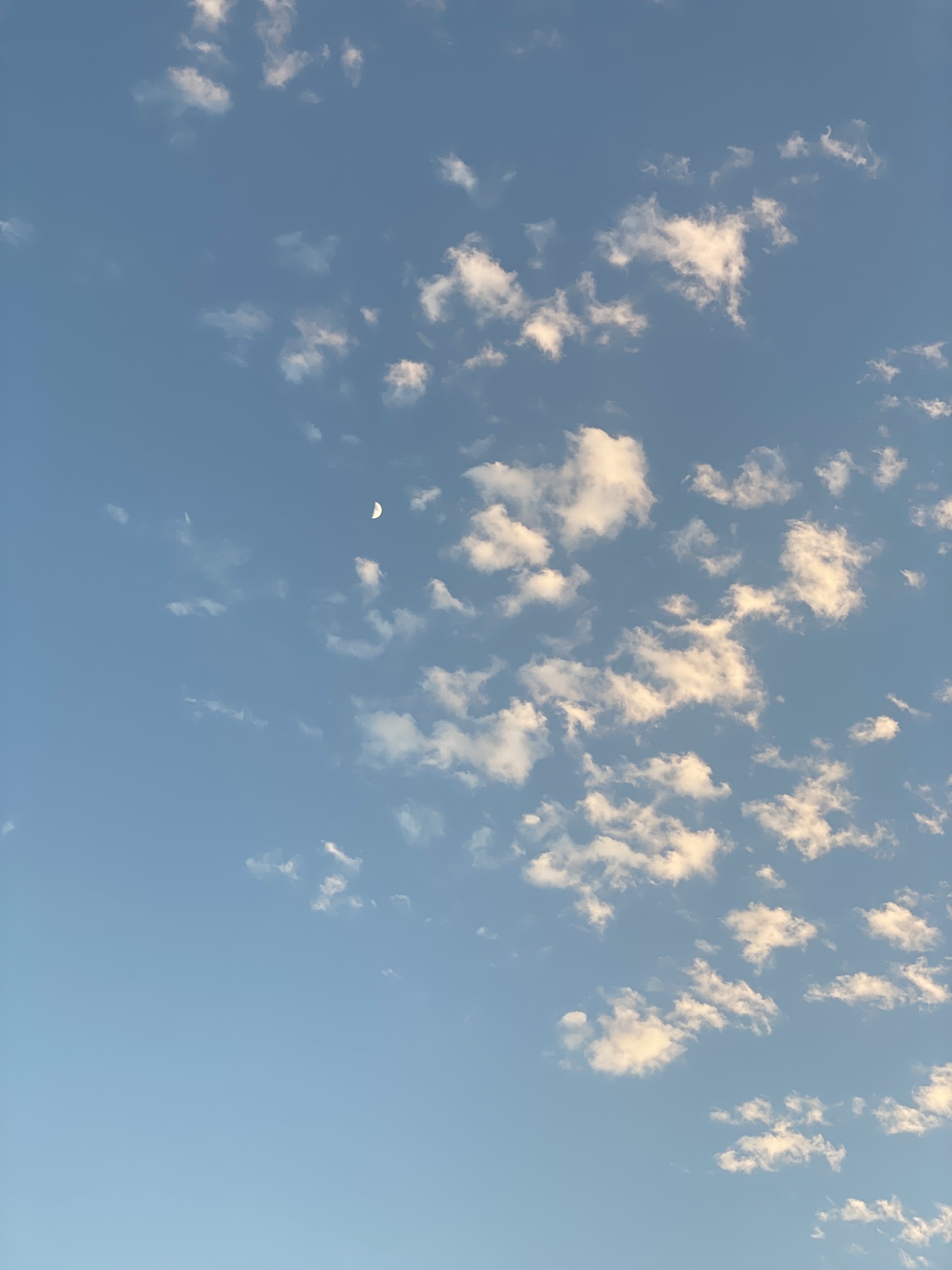 IMG_6231.jpeg
