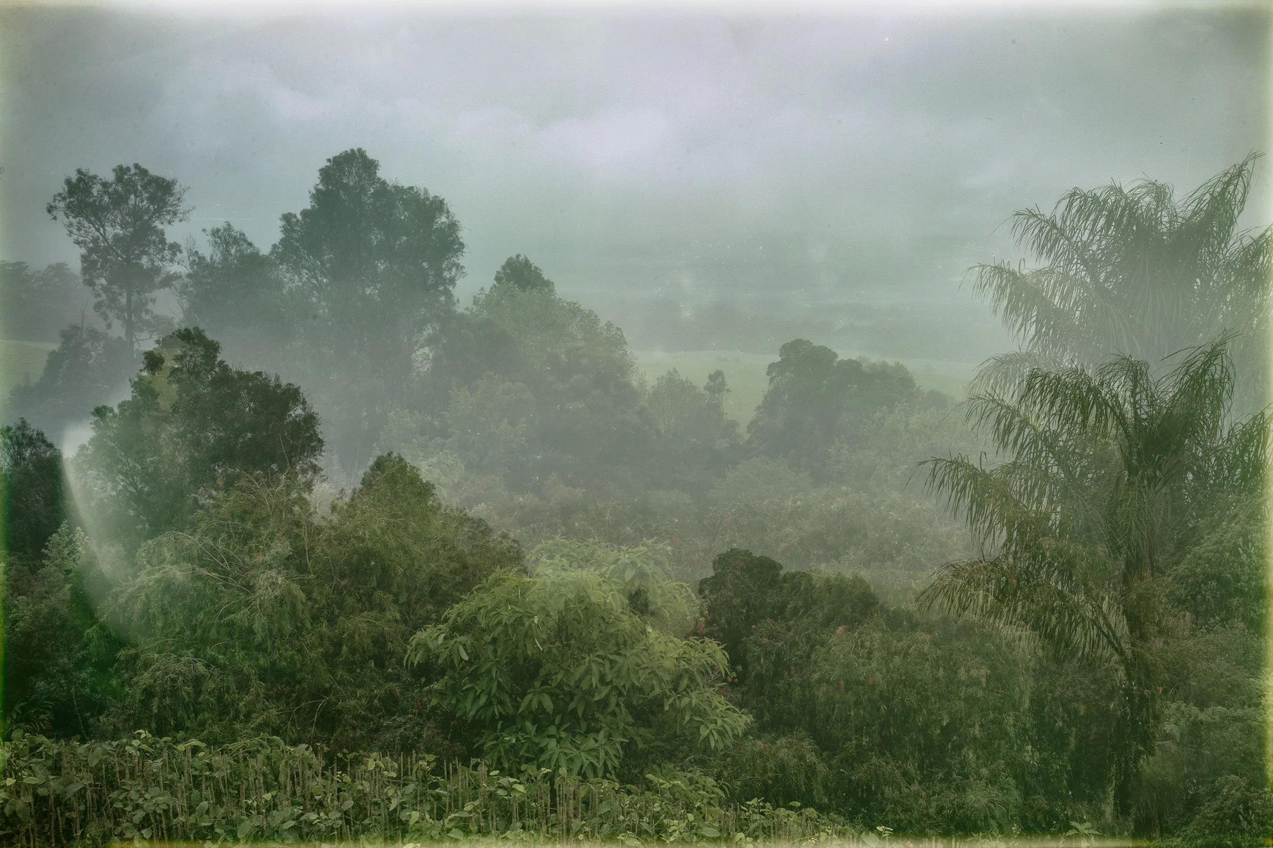 Hawaii-Mist-2023_T4A4542.jpg