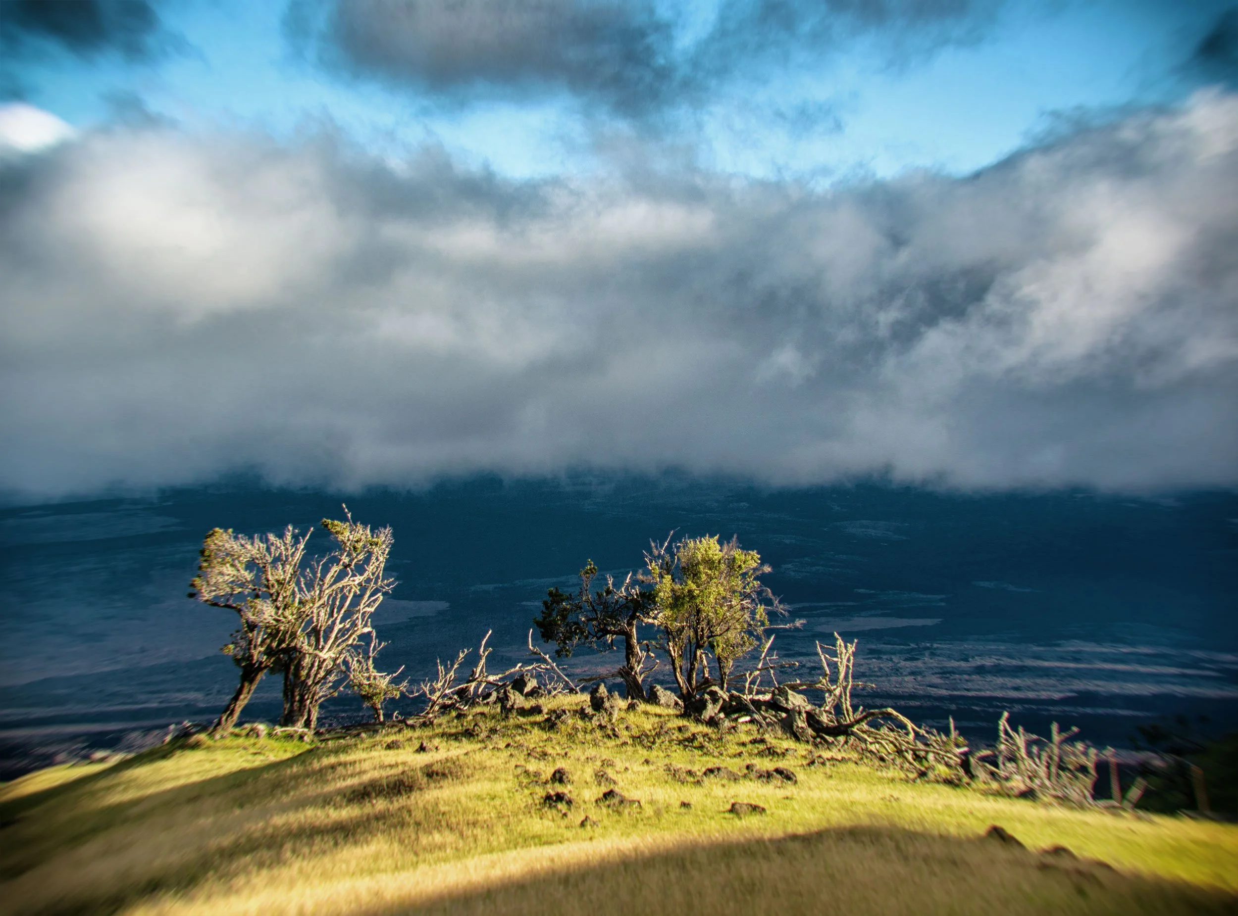 Hawaii-2023_T4A5322.jpg