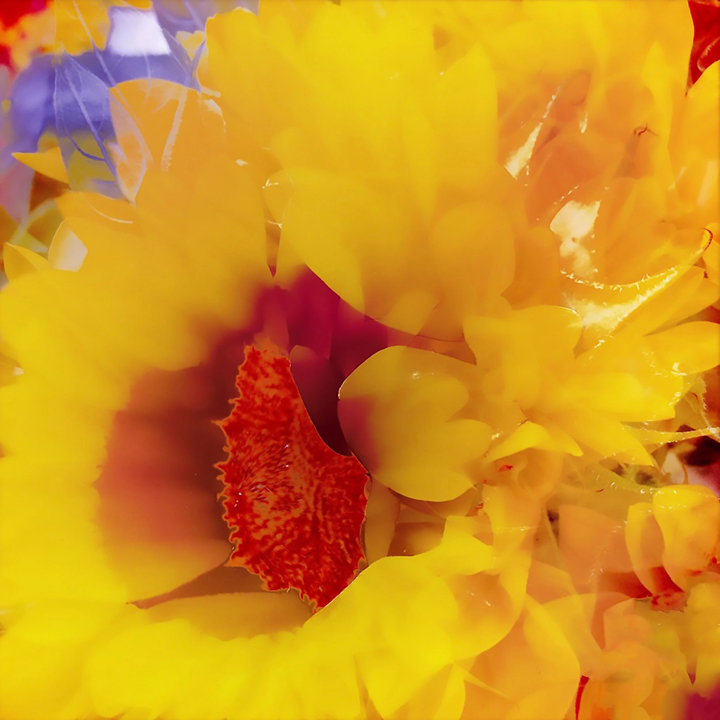 _Page-3-yellow-flower.jpg