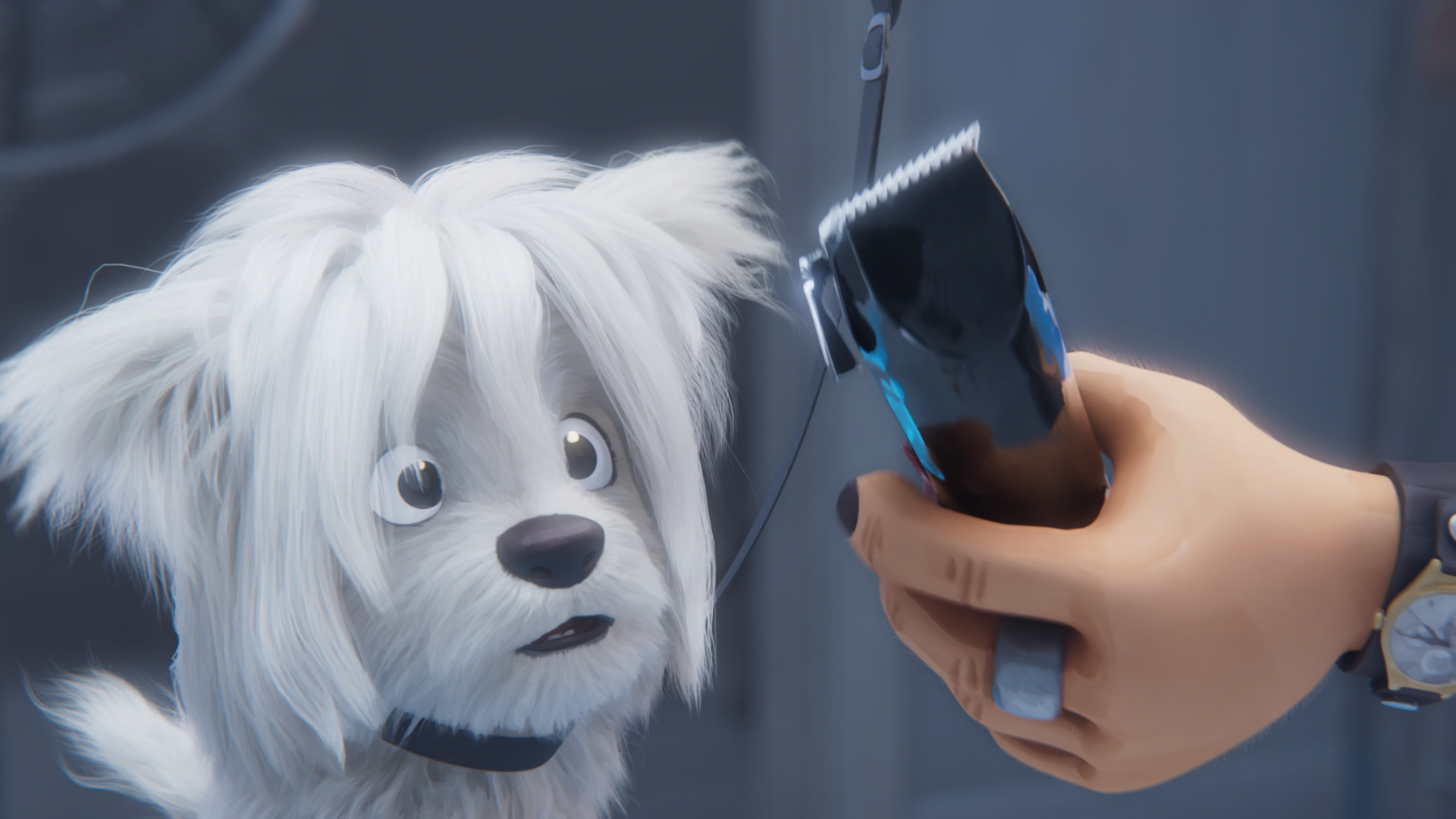 First Haircut