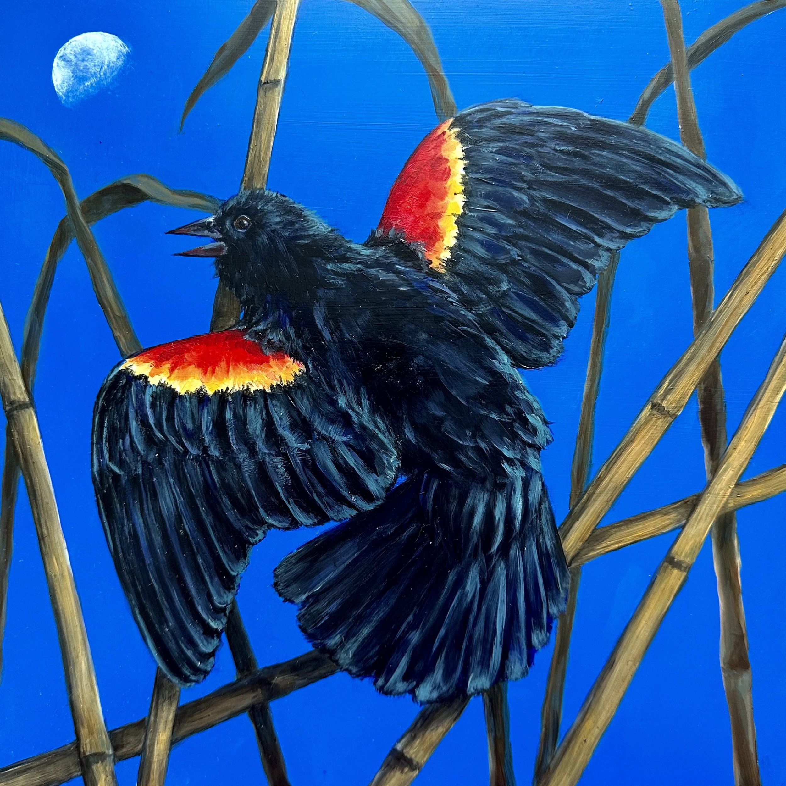 Original paintings at Moonrise Gallery in downtown Elkhorn.