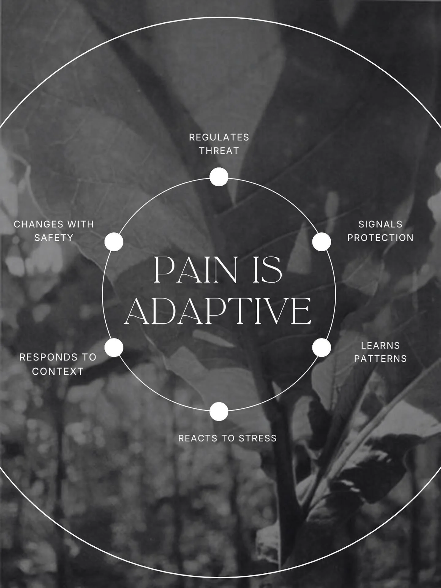 The more I learn about pain, the more I come to respect it.

Pain isn&rsquo;t random or broken. It&rsquo;s a powerful messenger often pointing to where the nervous system is dysregulated, overloaded, or stuck in protection.

Pain responds to stress.
