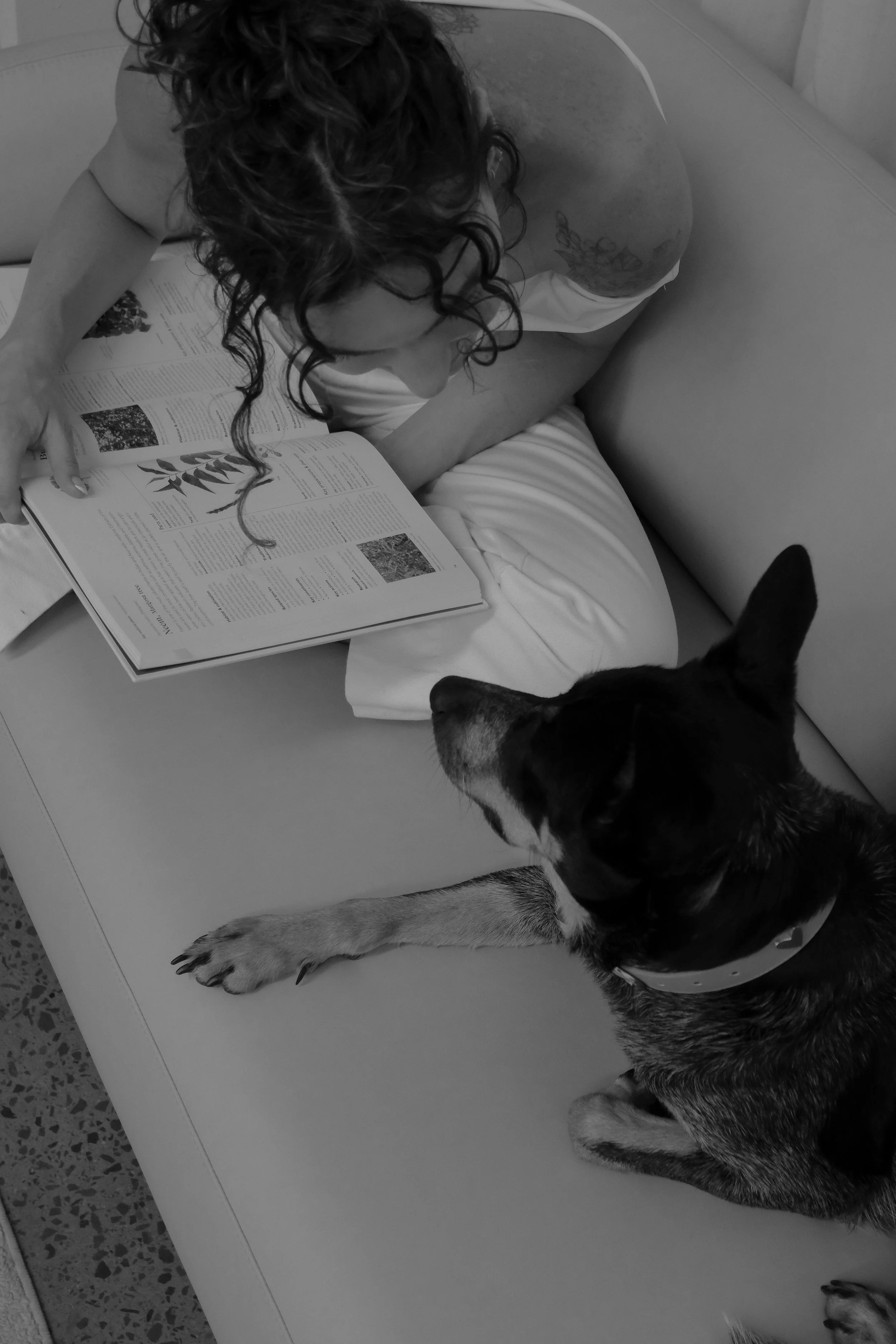 A woman with curly hair reading a magazine on a sofa, with a dog lying on the table nearby, in a black and white photo.
