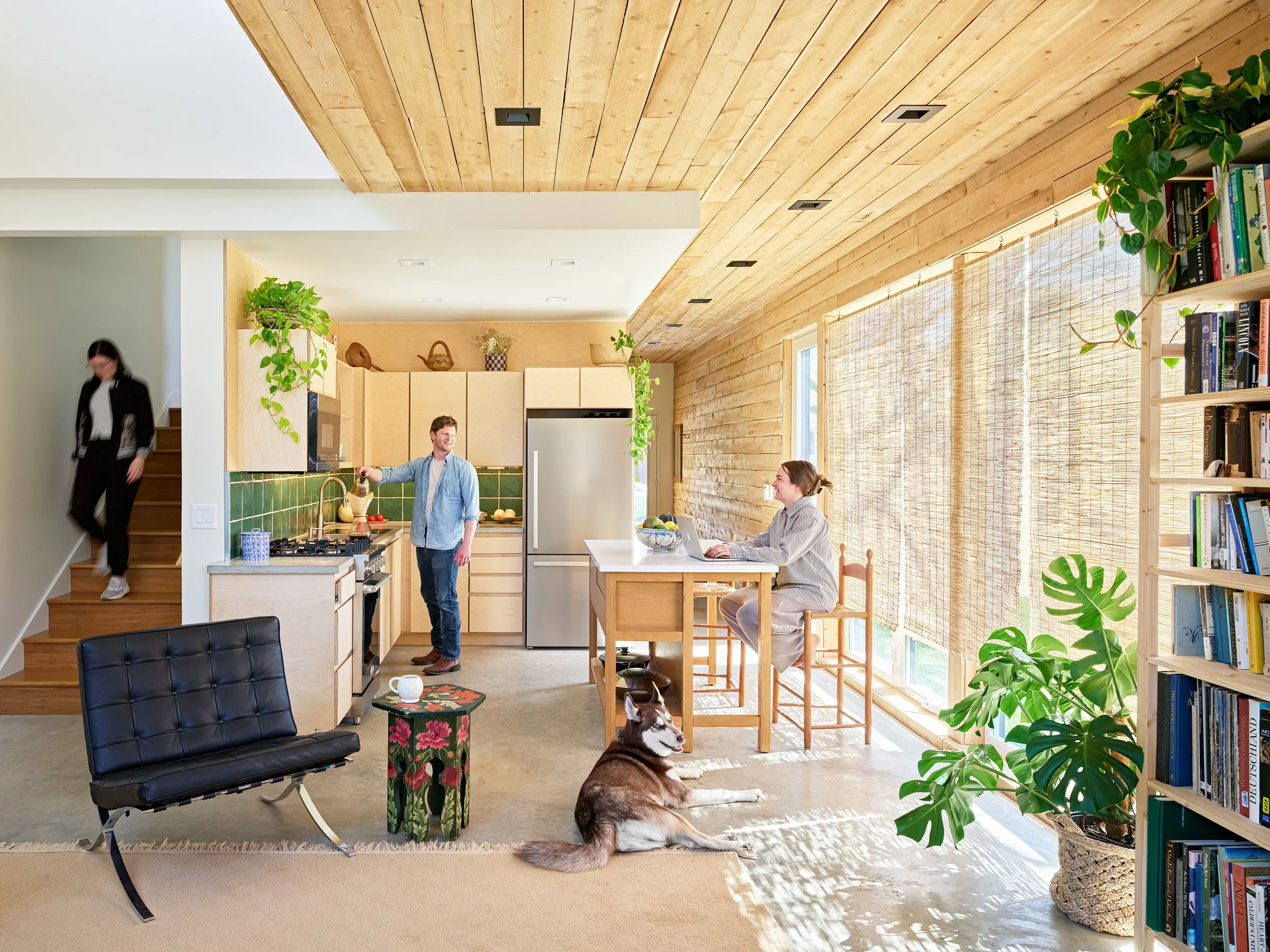Cochrane Interiors Kitchen.jpg