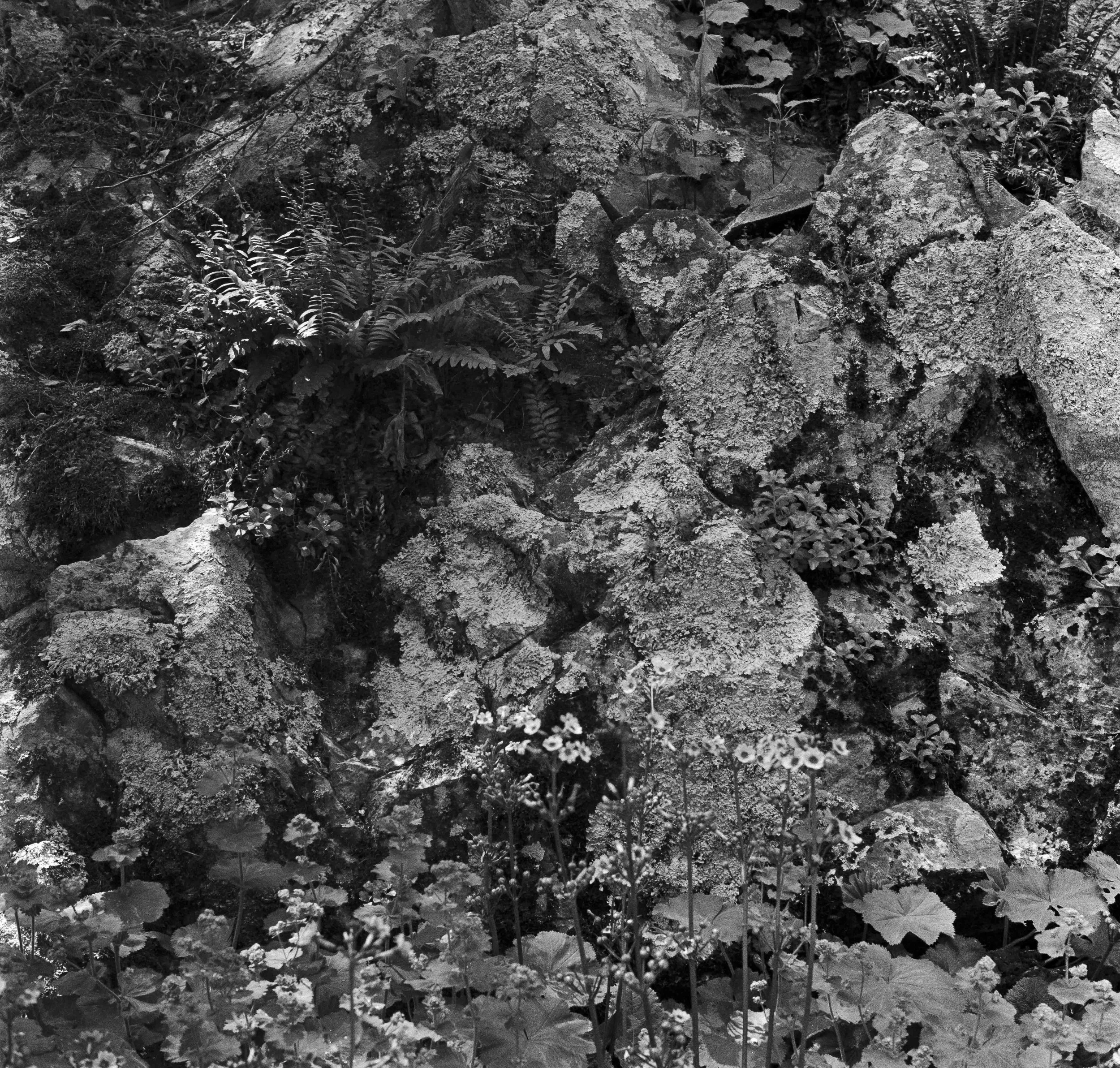 Landscapes, BW 15 Bryce Casamento_.jpg