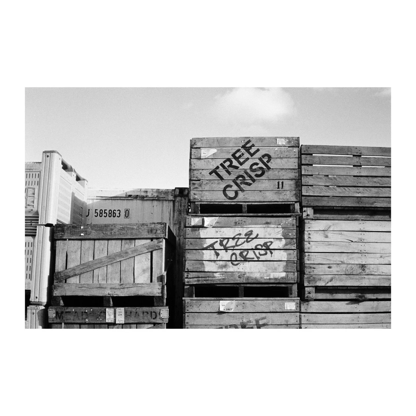 Some assorted B&amp;W Kentmere from the past few months. Feat. Fall leaves, snow days, gallery opening at school, etc. 

#kentmere400 in a few cameras, #nikonf3 #pentaxiqzoom80e #canonae1