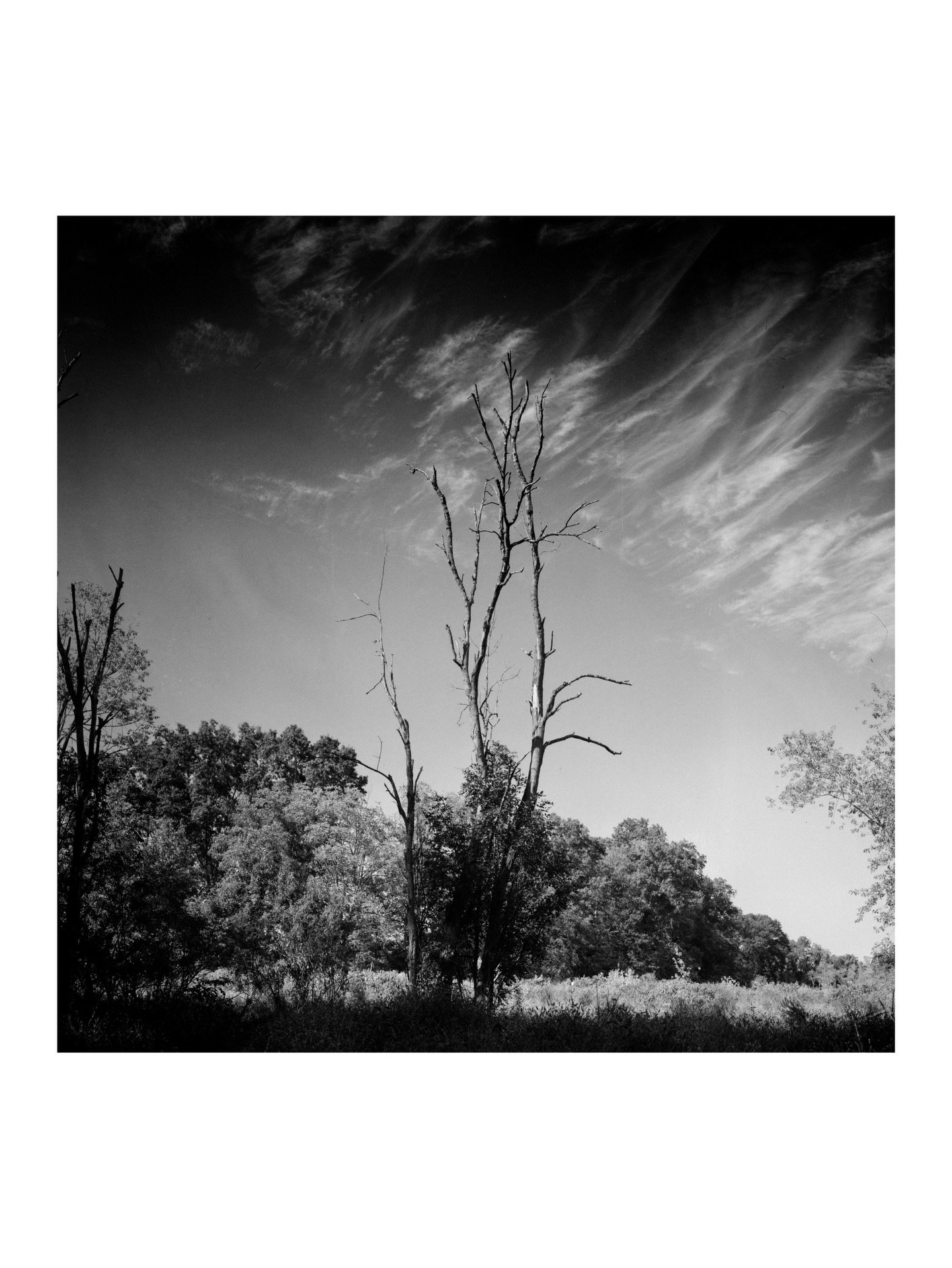 FPP Mummy 4x5 Film. 90mm &amp; 150mm lenses.

#largeformatfilm #analogphotography