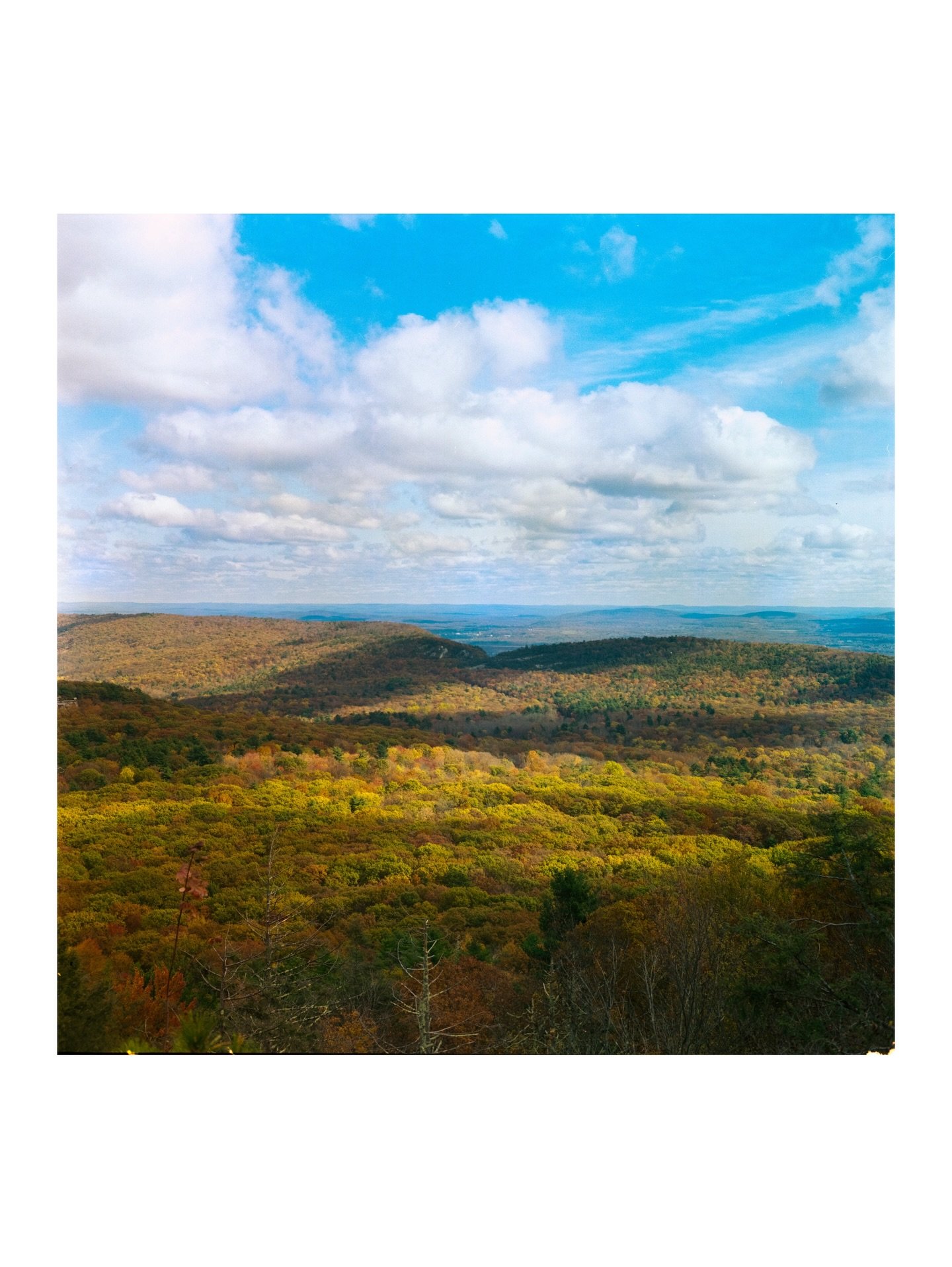 Remember when it was warm out? 

#yashicamat124g #kodakgold200