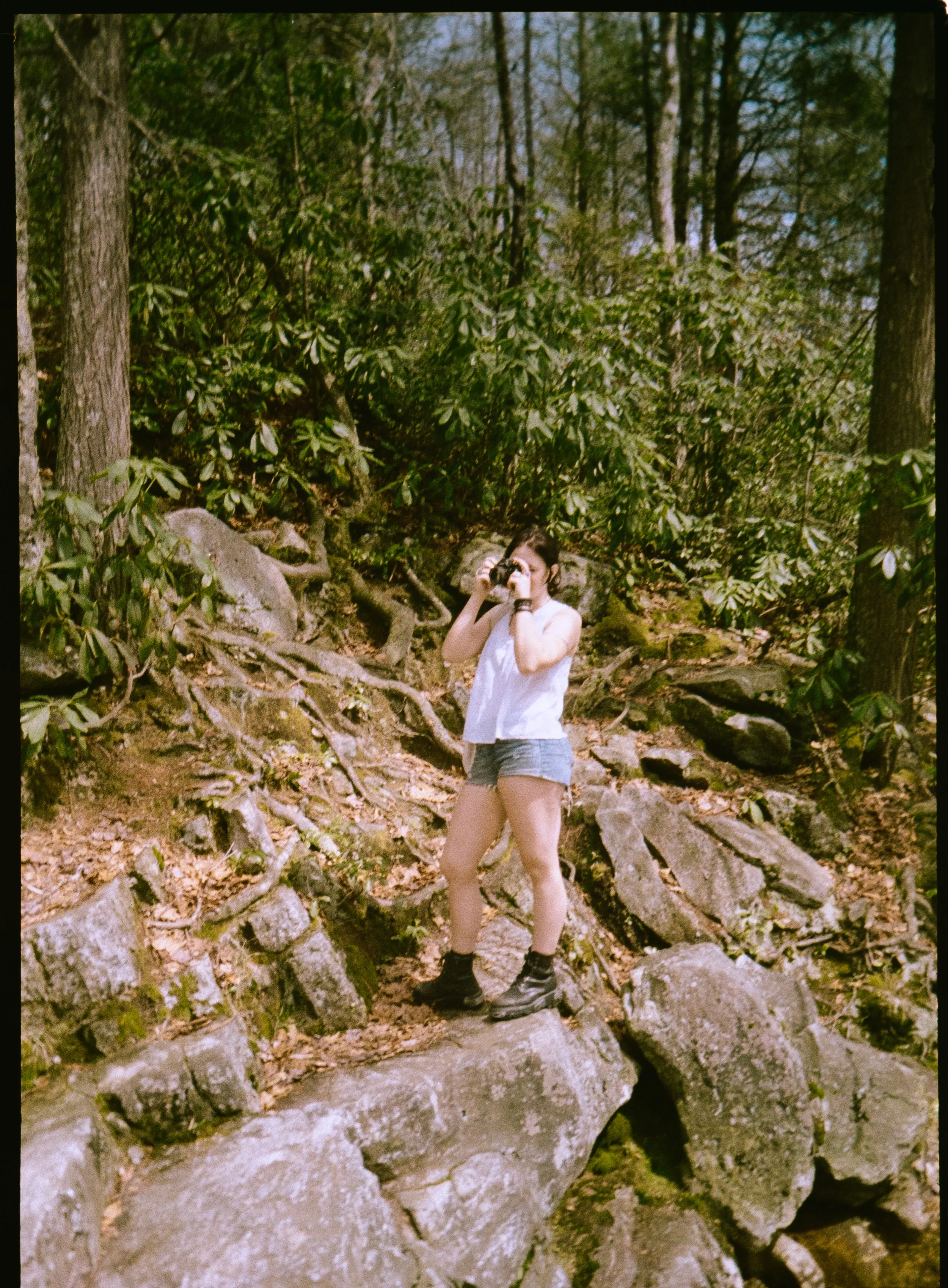 H35N Kodak Gold Aruba Tulips Low Falls (20 of 54).jpg
