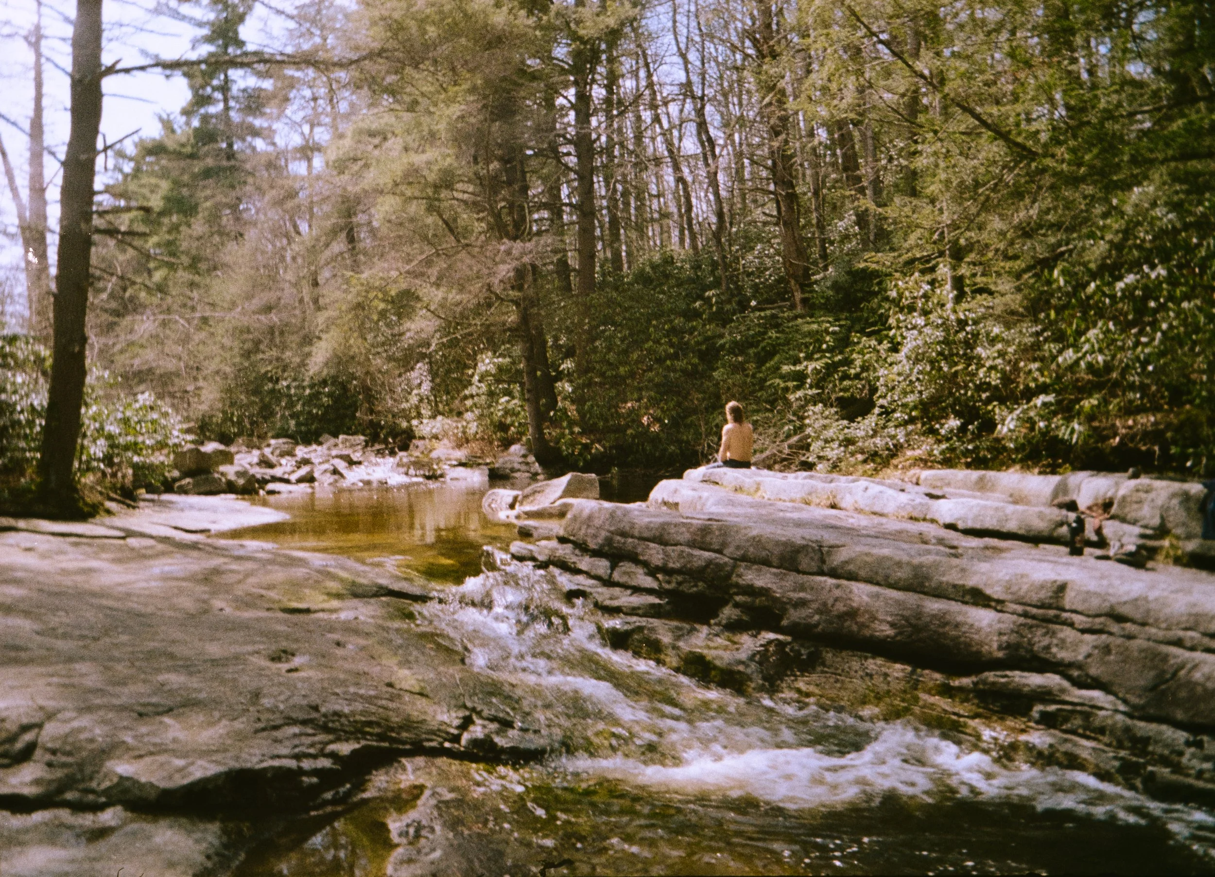 H35N Kodak Gold Aruba Tulips Low Falls (22 of 54).jpg