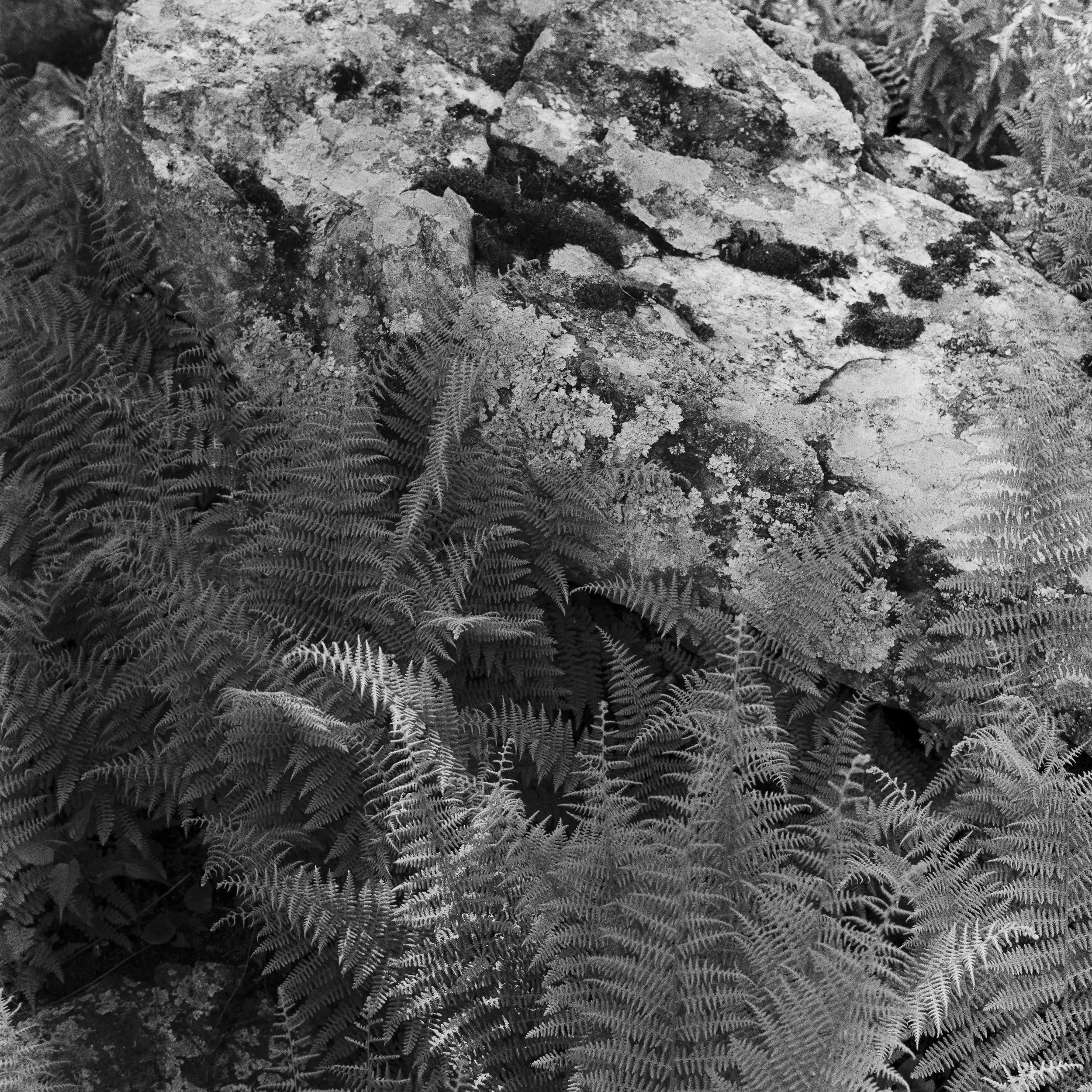 Landscapes, BW 14 Bryce Casamento_.jpg