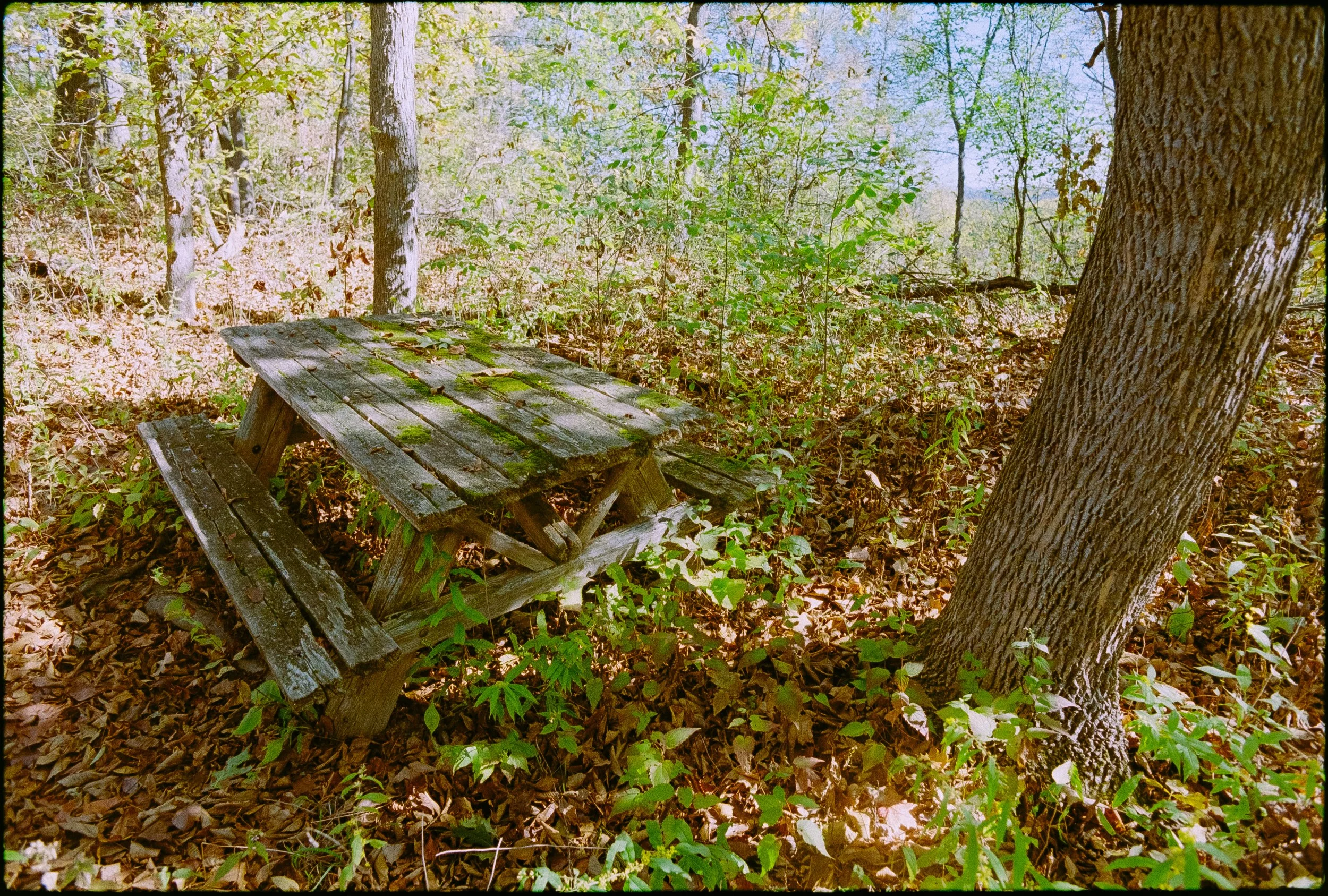 Bryce Casamento ProImage100AE-1 (23 of 37).jpg