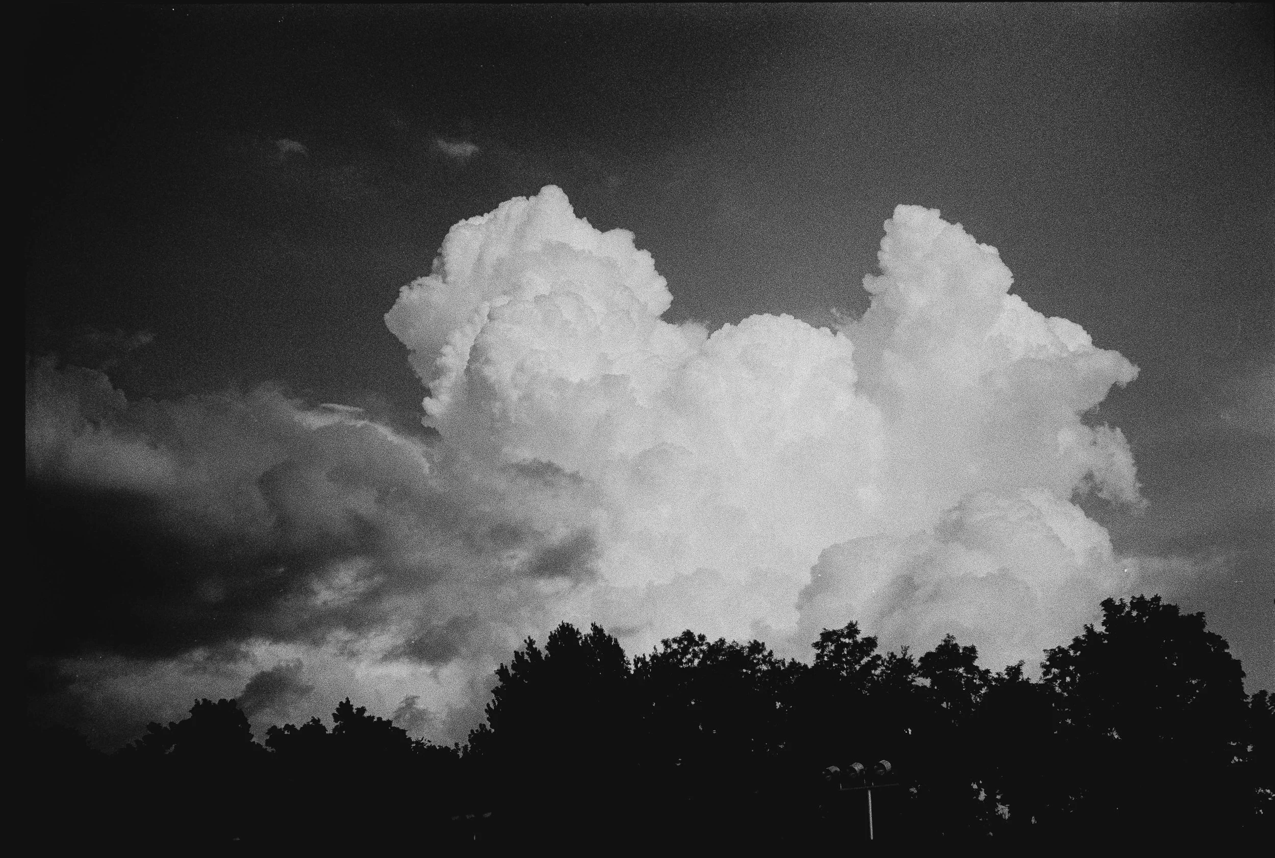 Landscapes, BW 49 Bryce Casamento_.jpg