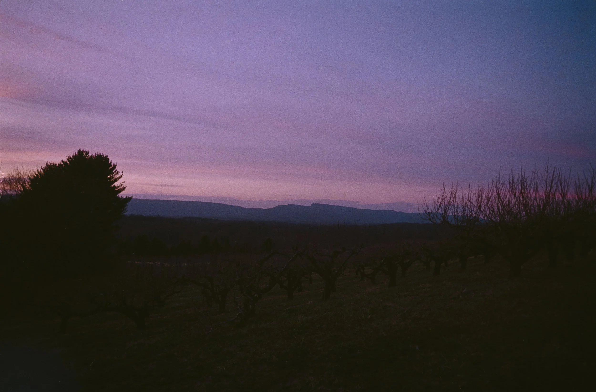 Landscapes, Color 12 Bryce Casamento_.jpg