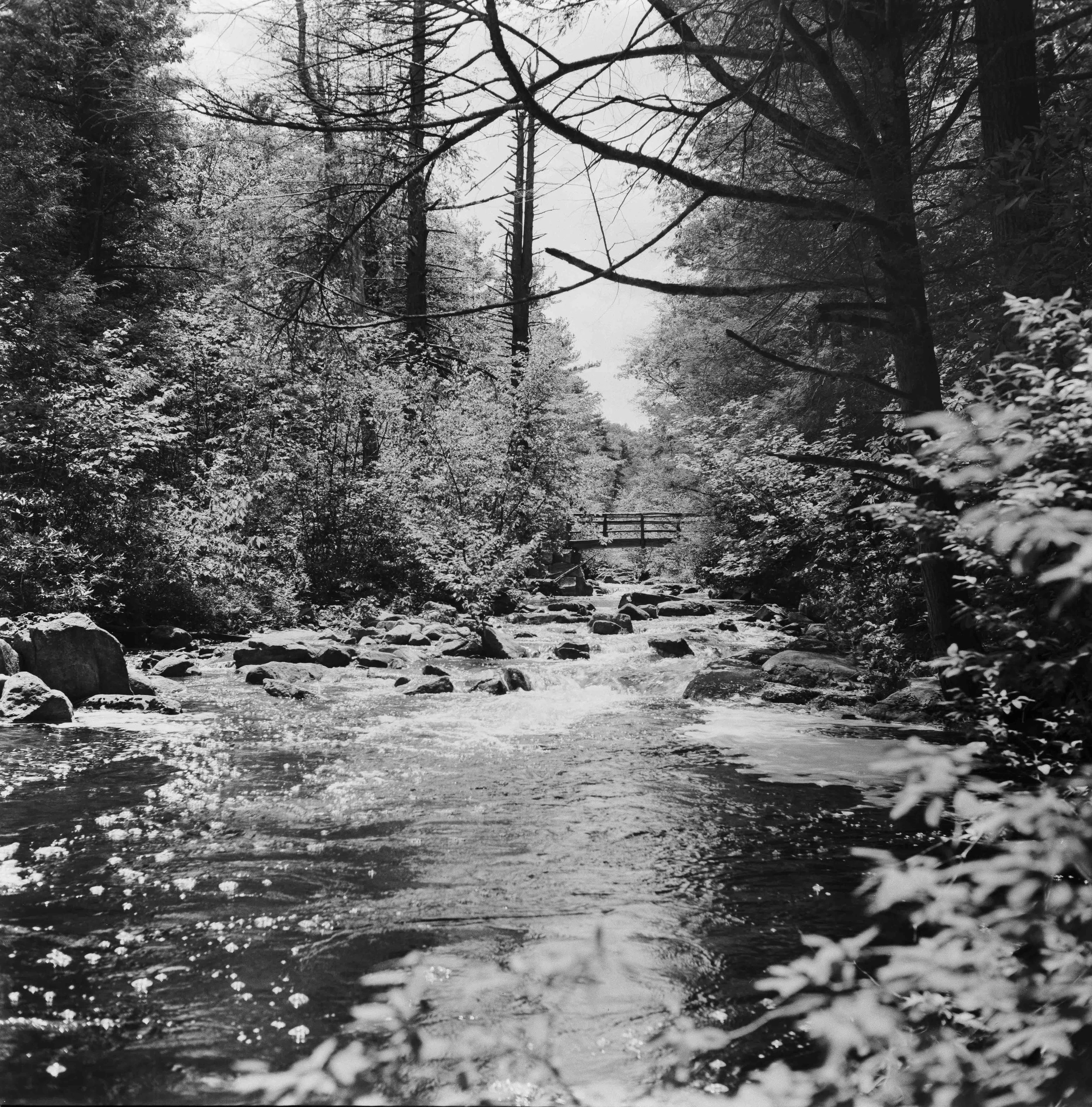 Landscapes, BW 26 Bryce Casamento_.jpg