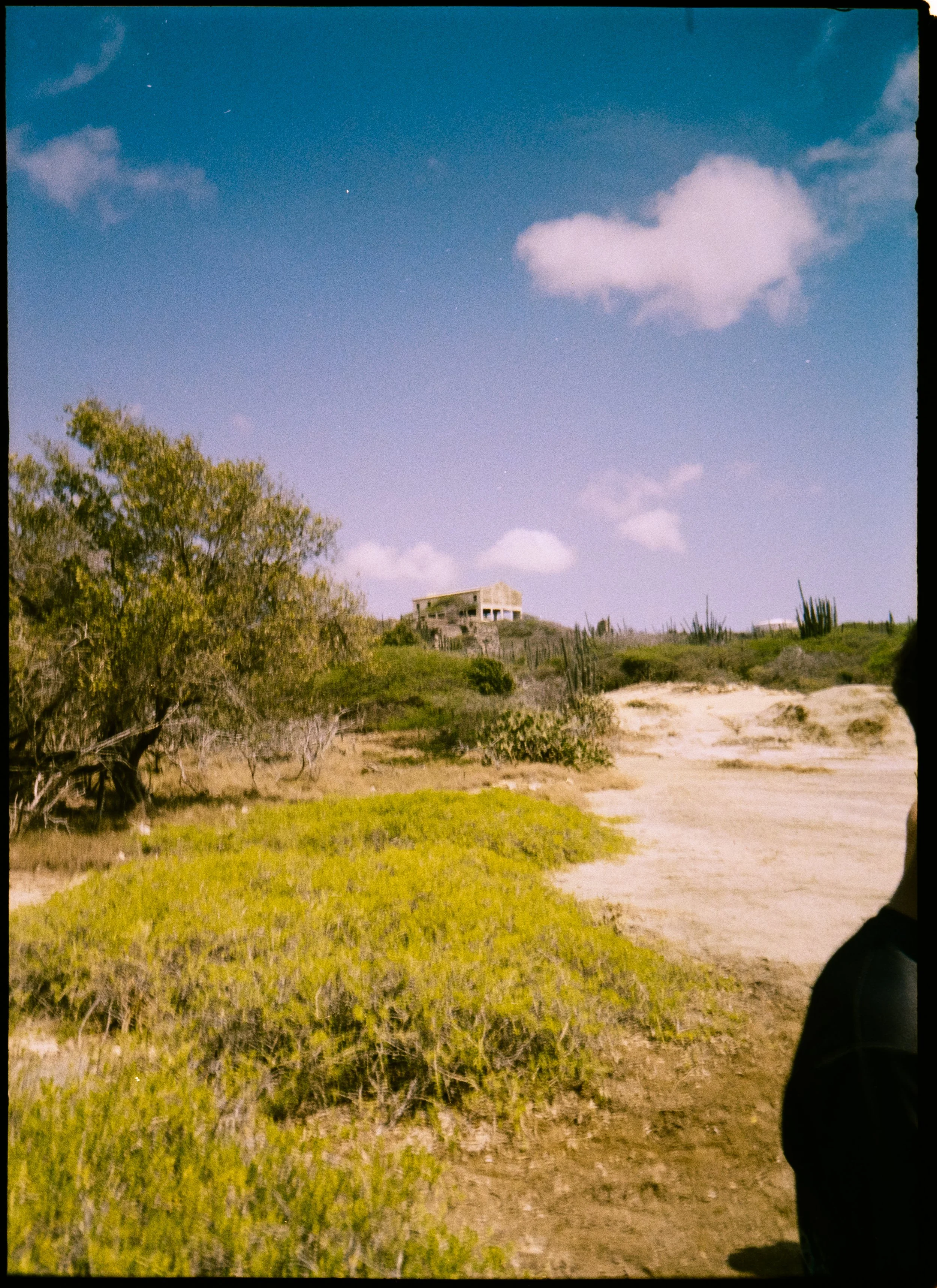 H35N Kodak Gold Aruba Tulips Low Falls (49 of 54).jpg