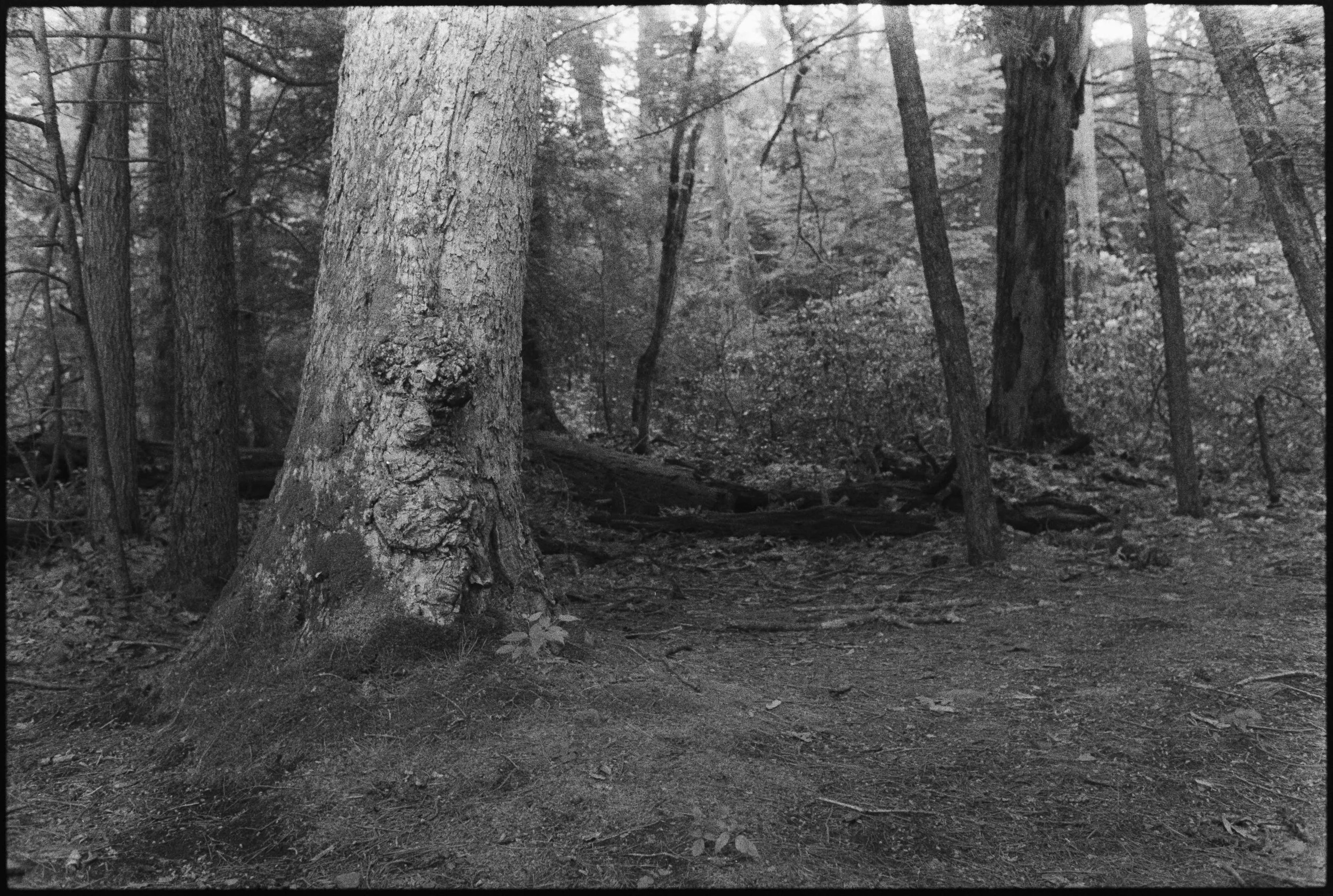 Landscapes, BW 39 Bryce Casamento_.jpg