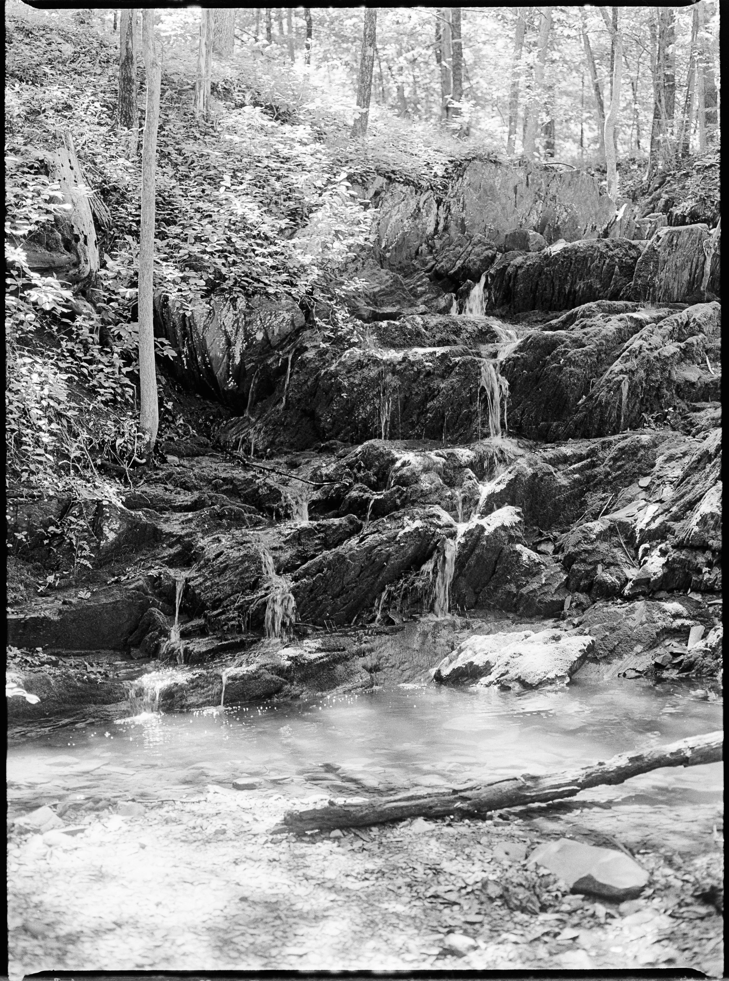IQZoom (6 of 14).jpg