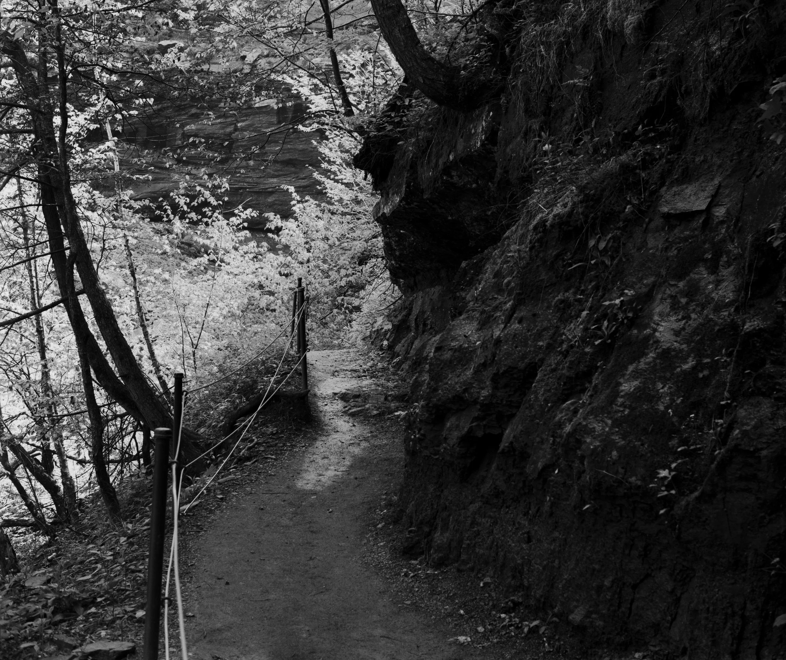 yashicamat tmax100 6.25 (3 of 12).jpg