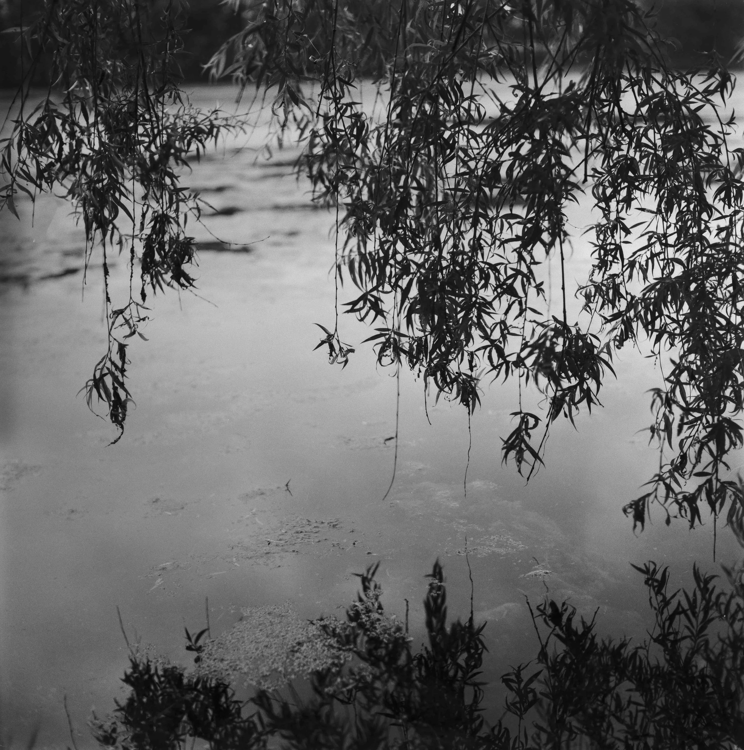 Landscapes, BW 35 Bryce Casamento_.jpg