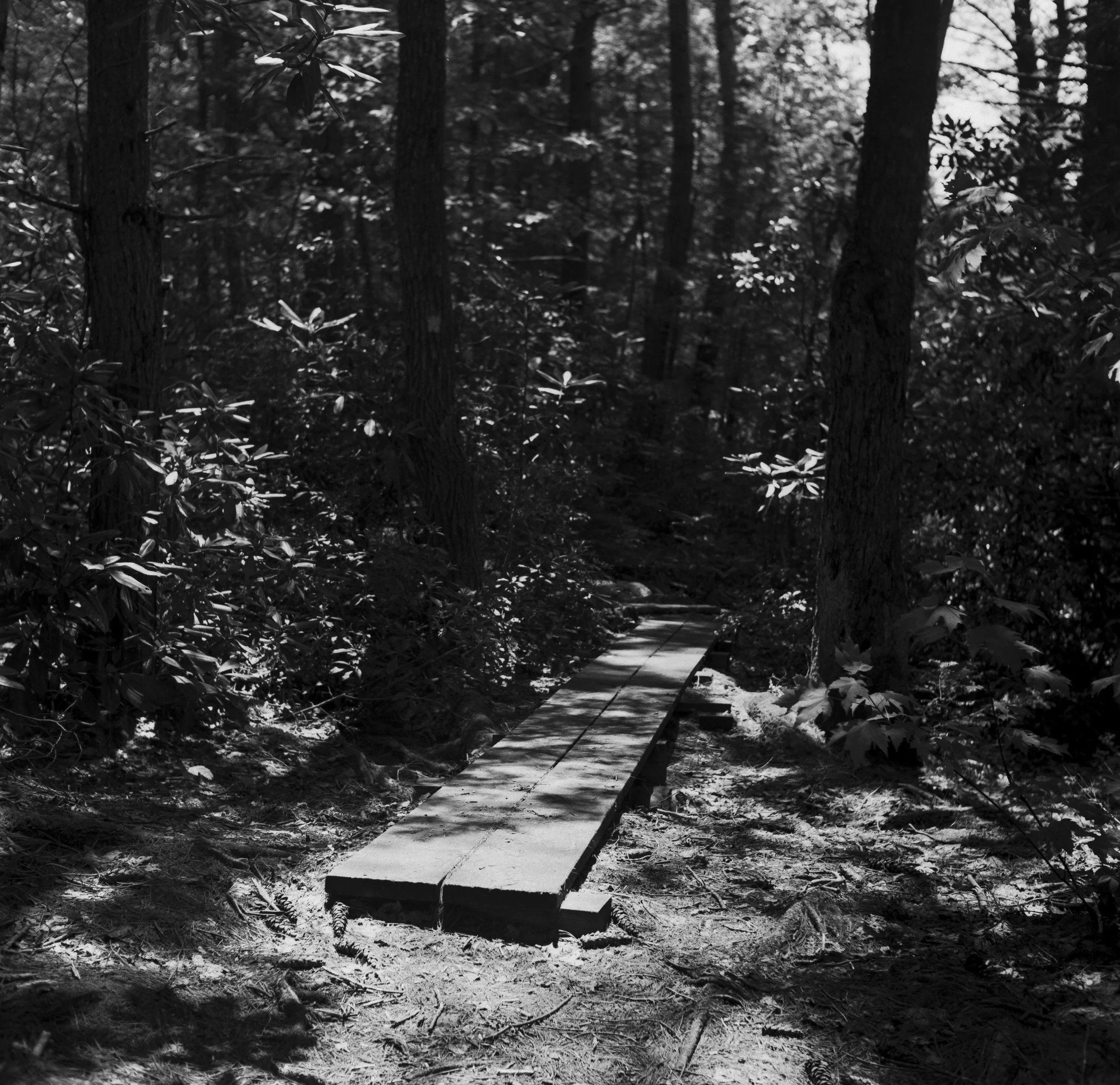 Landscapes, BW 25 Bryce Casamento_.jpg