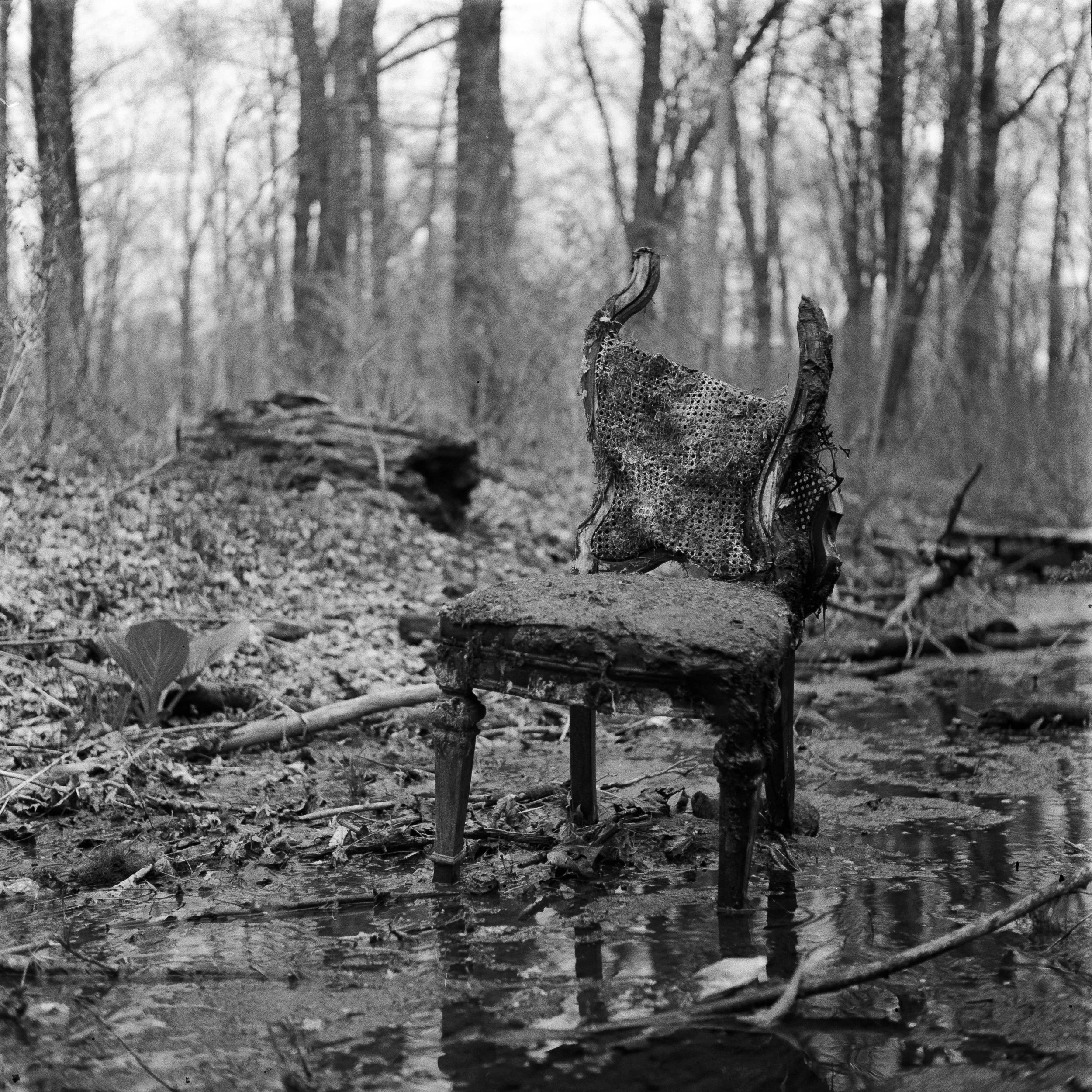 _MG_0214.jpg