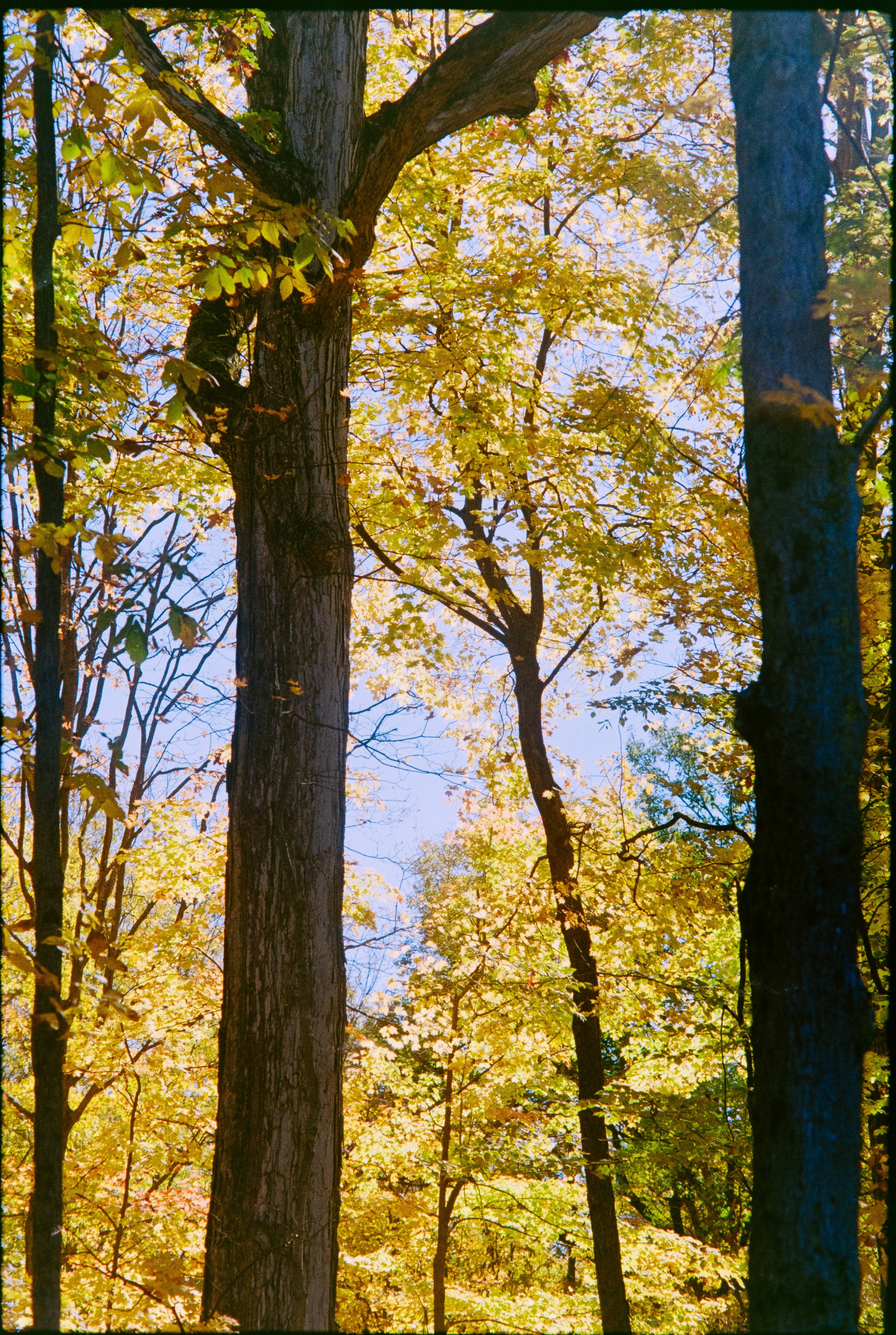 Bryce Casamento ProImage100AE-1 (32 of 37).jpg