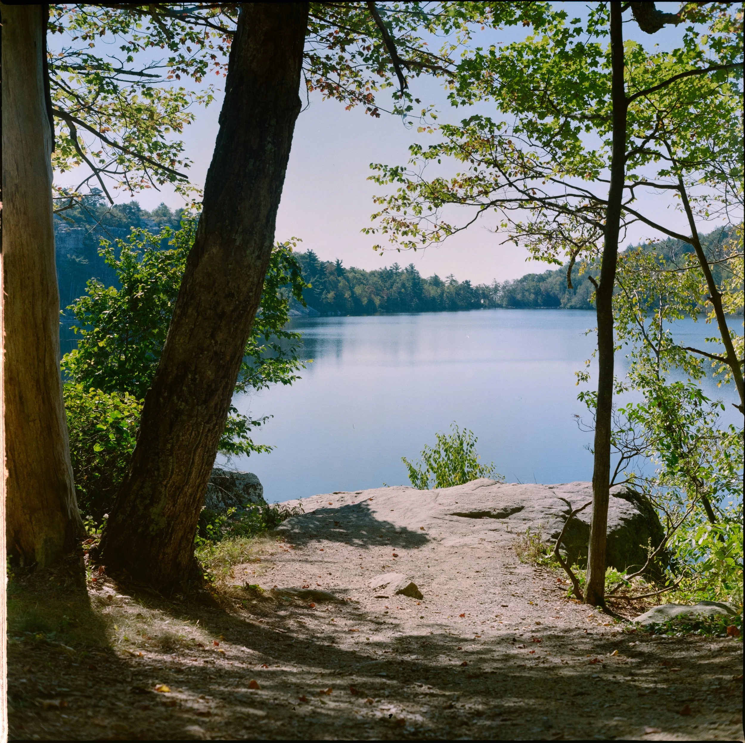 Bryce Casamento - YashicaMat124G-KodakGold (10 of 12).jpg