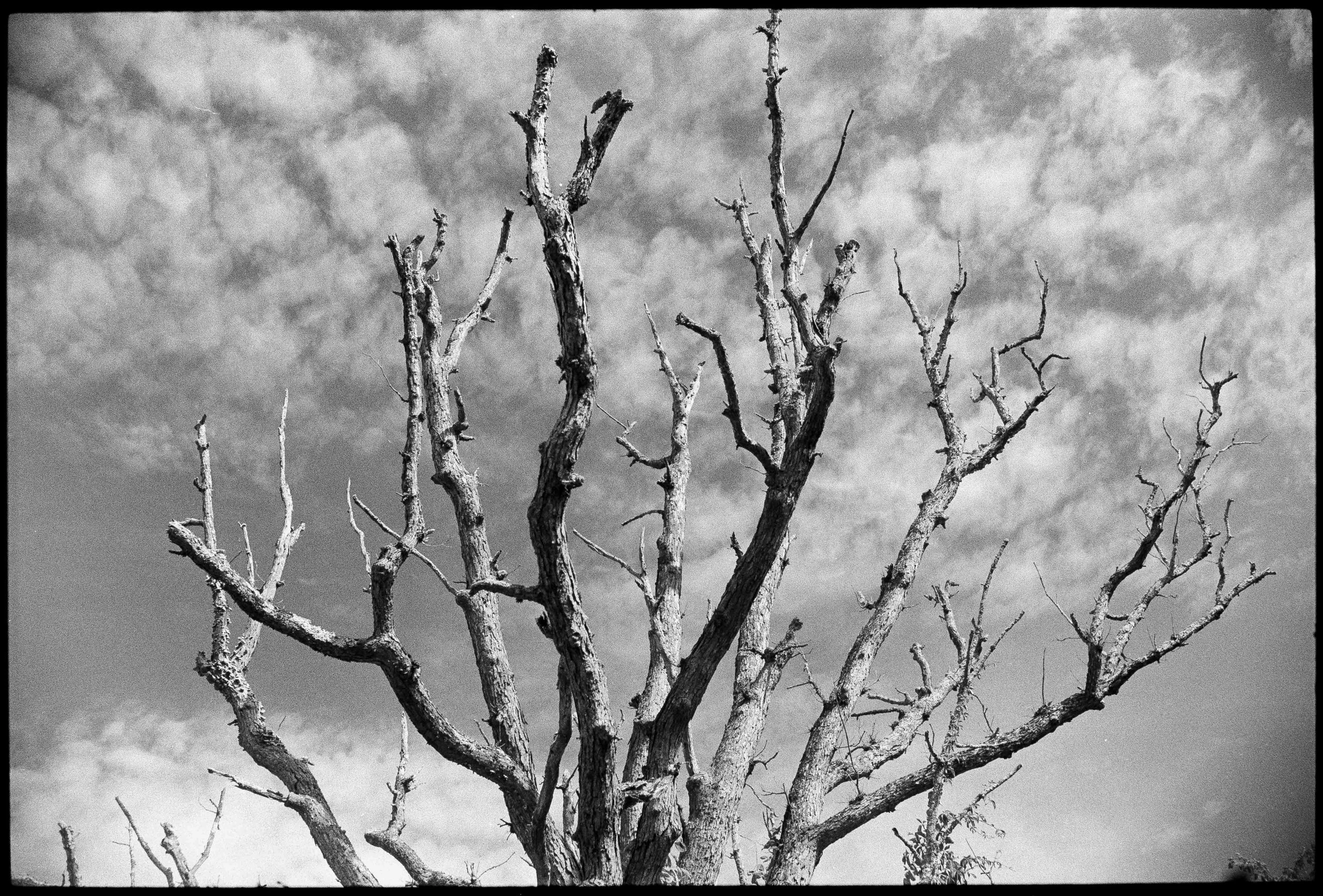 Landscapes, BW 47 Bryce Casamento_.jpg