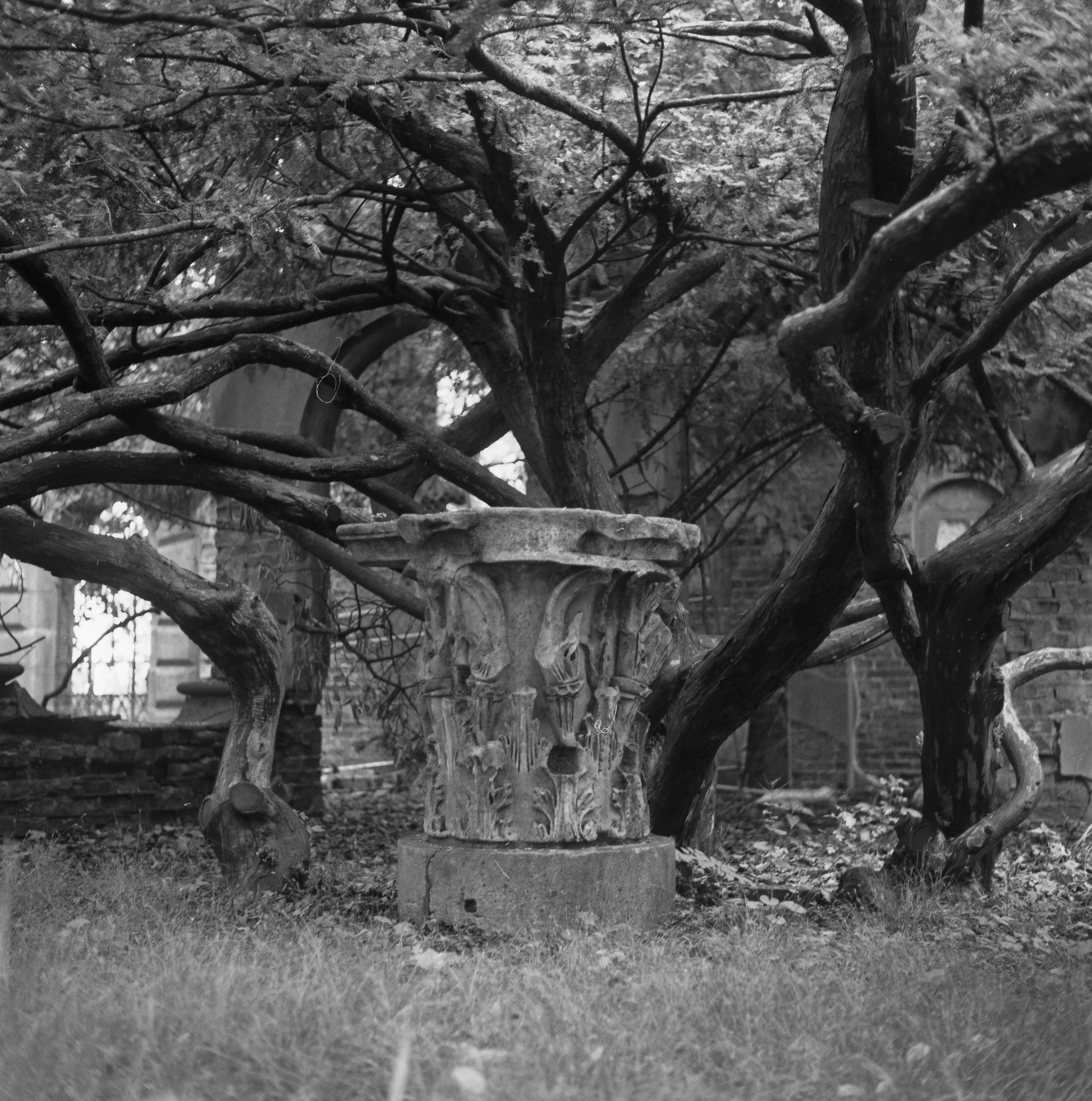 Landscapes, BW 9 Bryce Casamento_.jpg