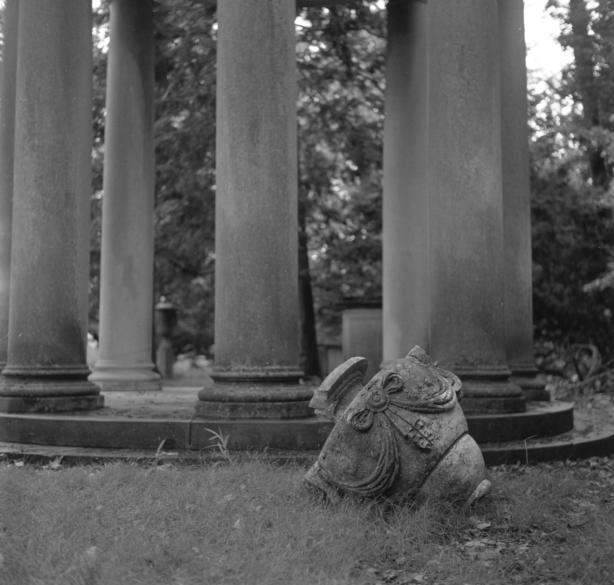 Landscapes, BW 10 Bryce Casamento_.jpg