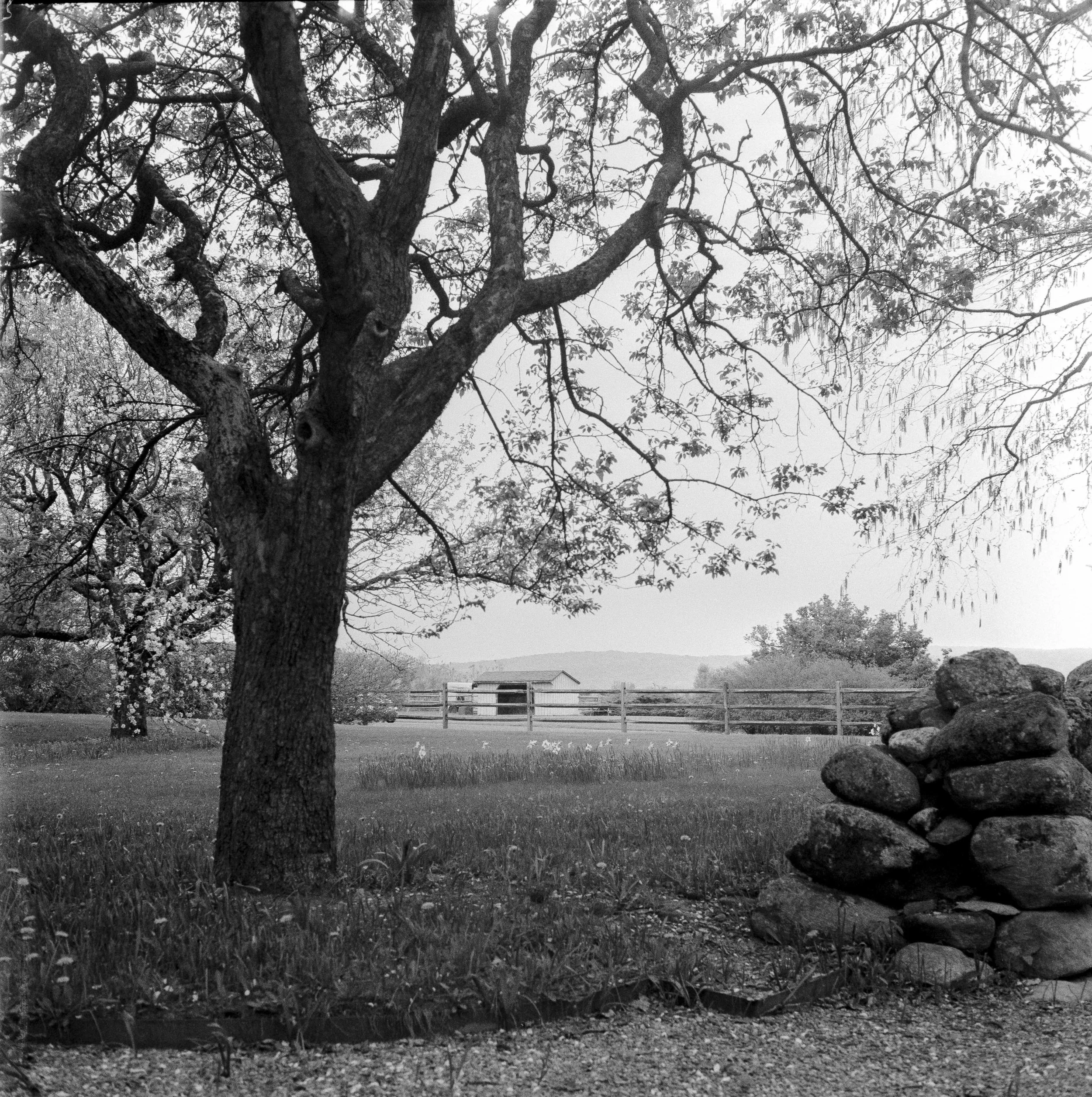 Landscapes, BW 5 Bryce Casamento_.jpg
