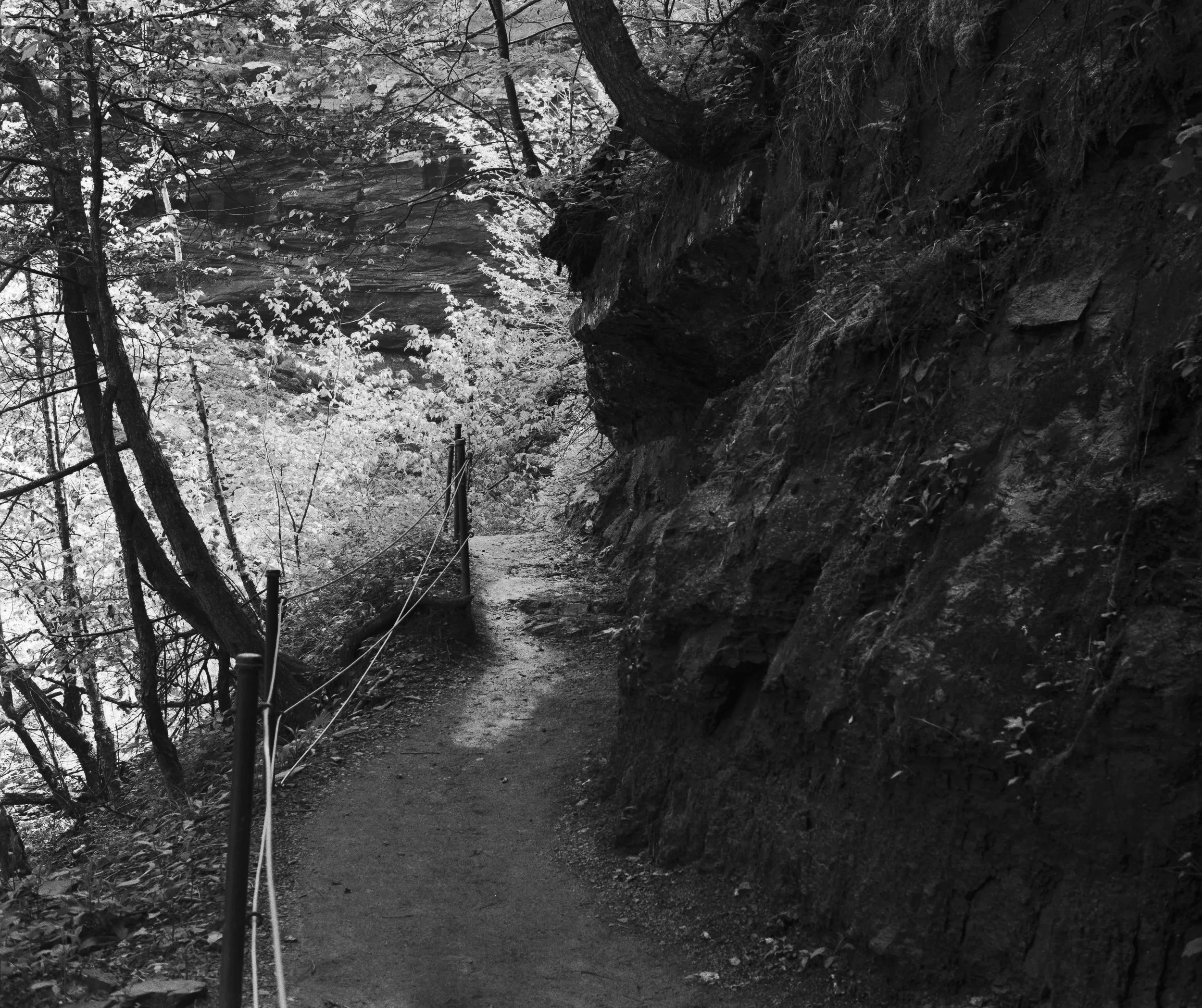 Landscapes, BW 21 Bryce Casamento_.jpg