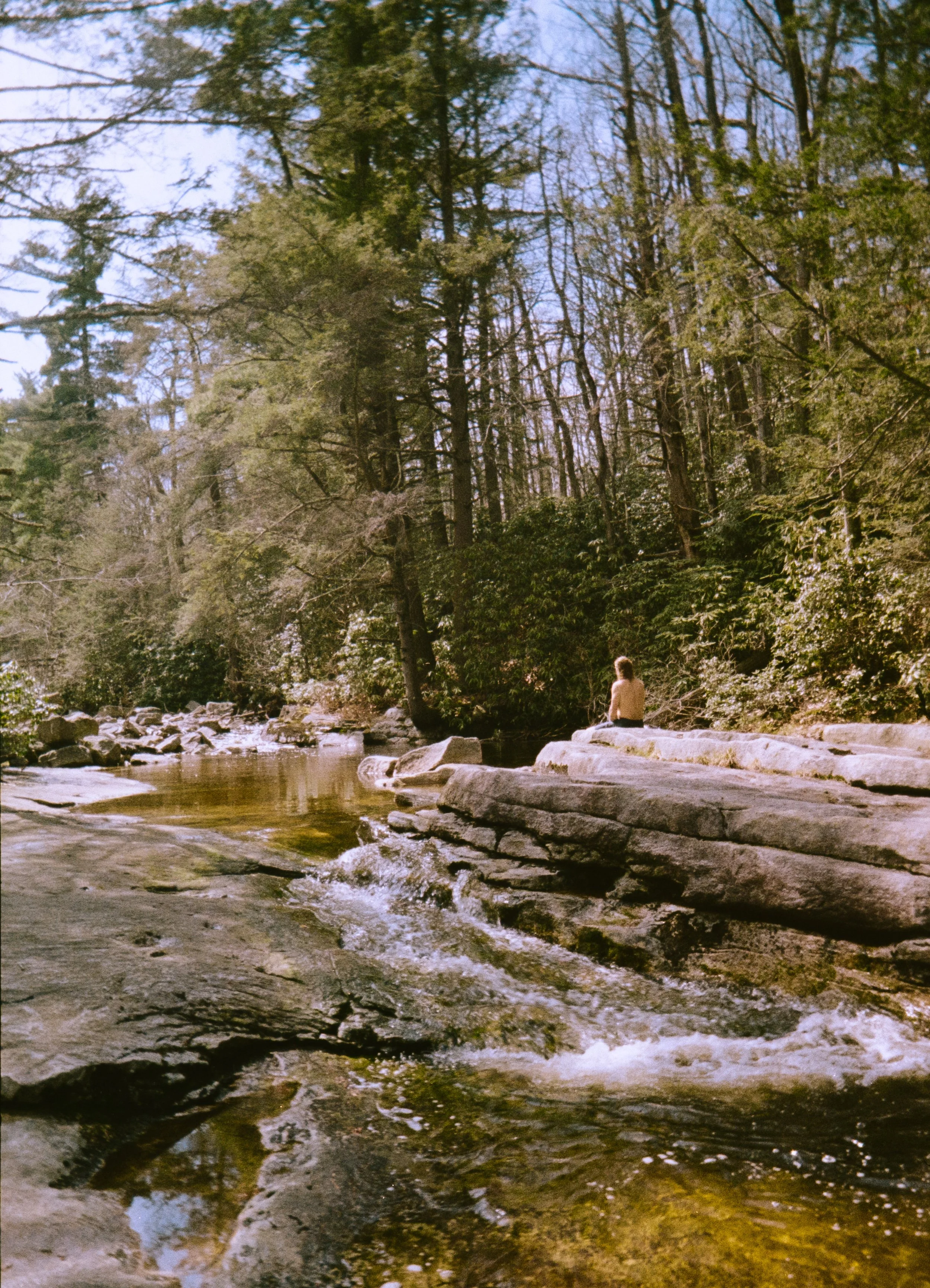 H35N Kodak Gold Aruba Tulips Low Falls (21 of 54).jpg