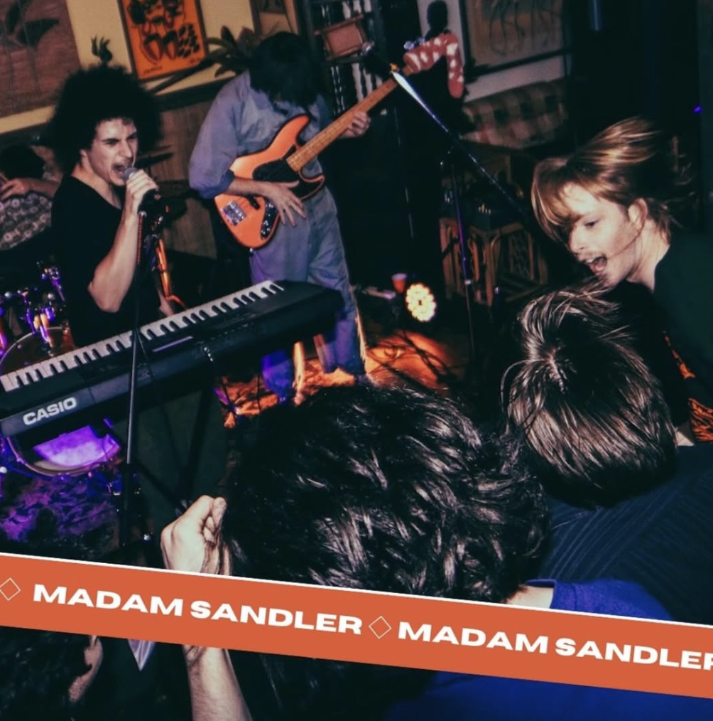 MADAM SANDLER //  BARDVARKK // ROSE WHITE // HAND MODELZ // BABIES ARE LIARS // AUNTY AL 