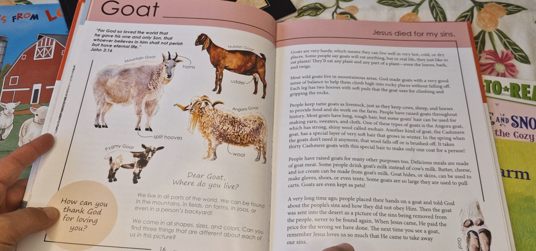 My father's world literature choices are very wholesome.
