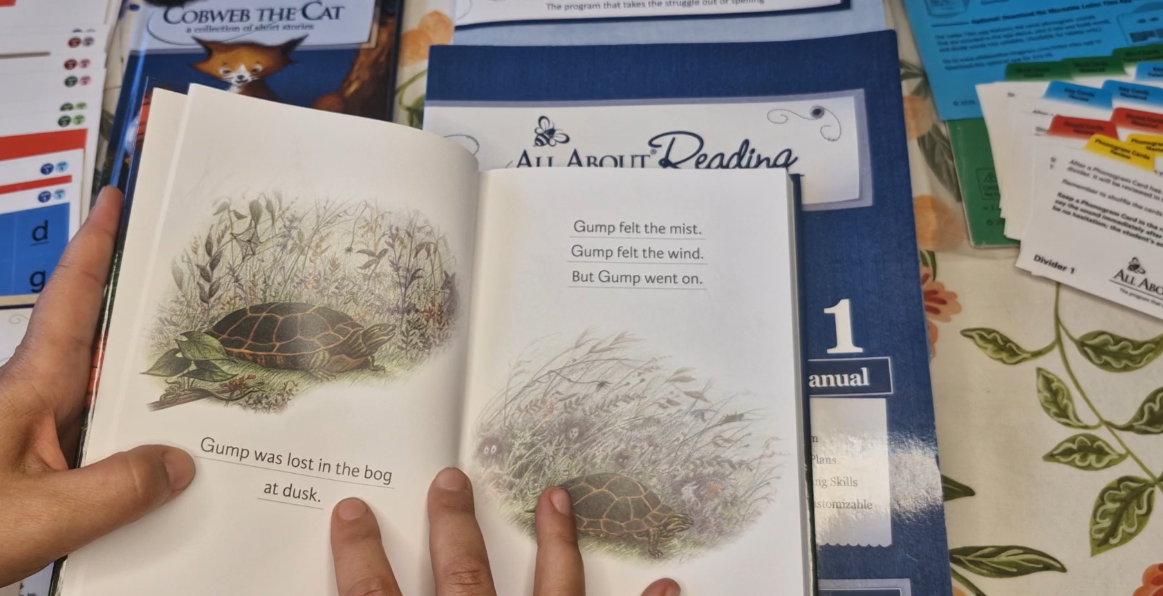 I love that AAR has hardback books for subsequent children!
