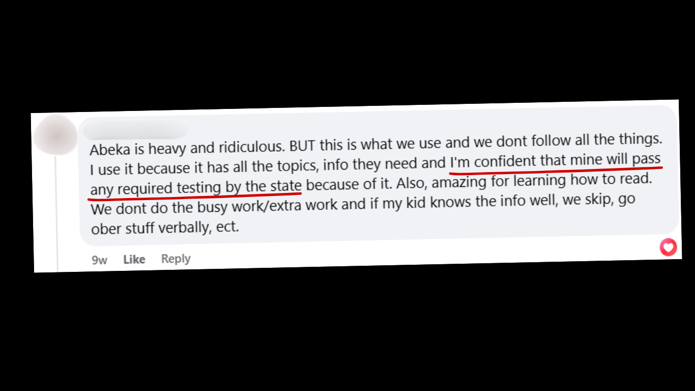Comment about this curriculum. It's heavy and ridiculous, but this mom is confident her kids will pass any required testing by the state. And that brings her peace!