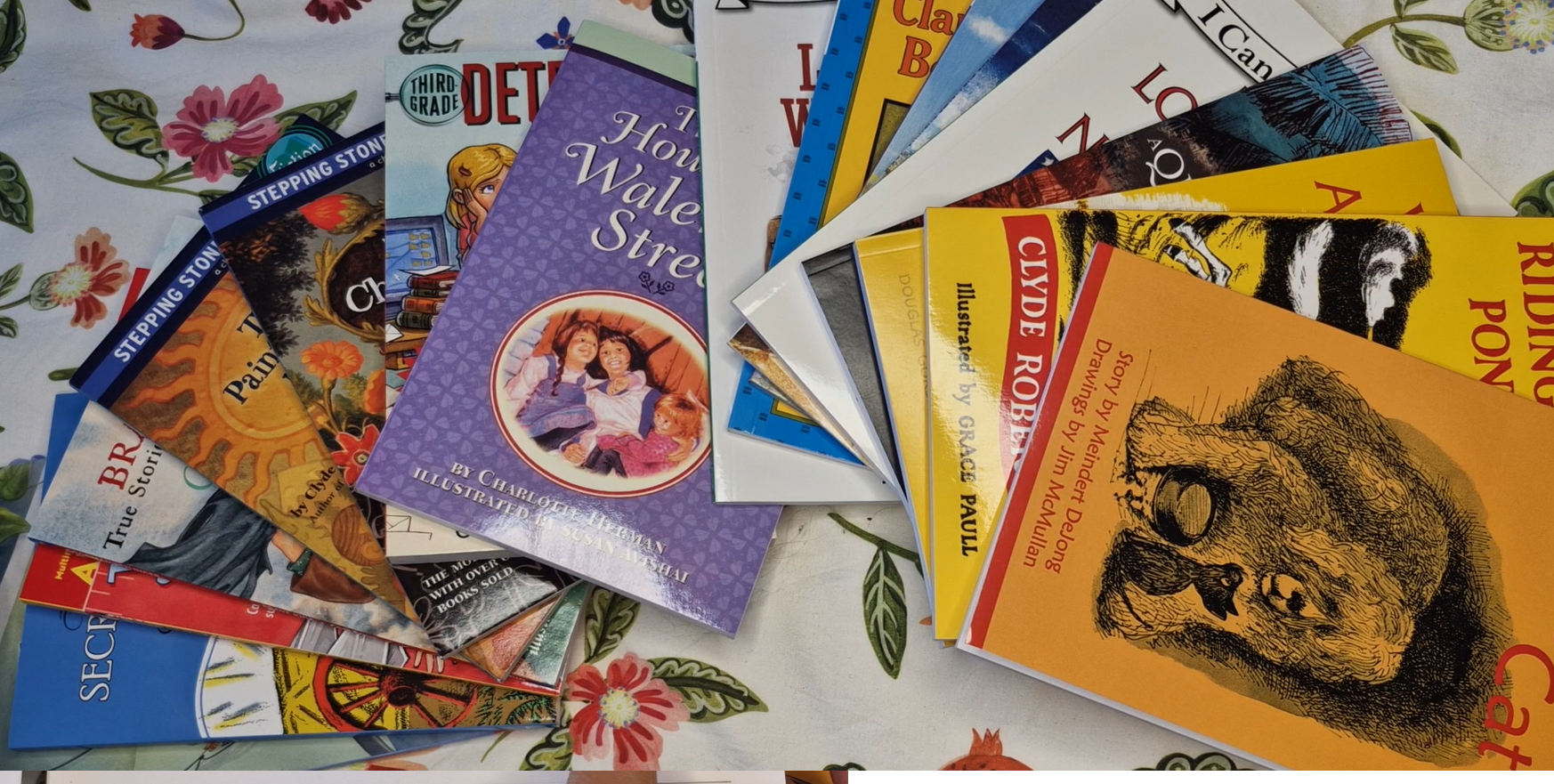 Sonlight Grade 3 Reading curriculum; 4-day-homeschool week recommended!