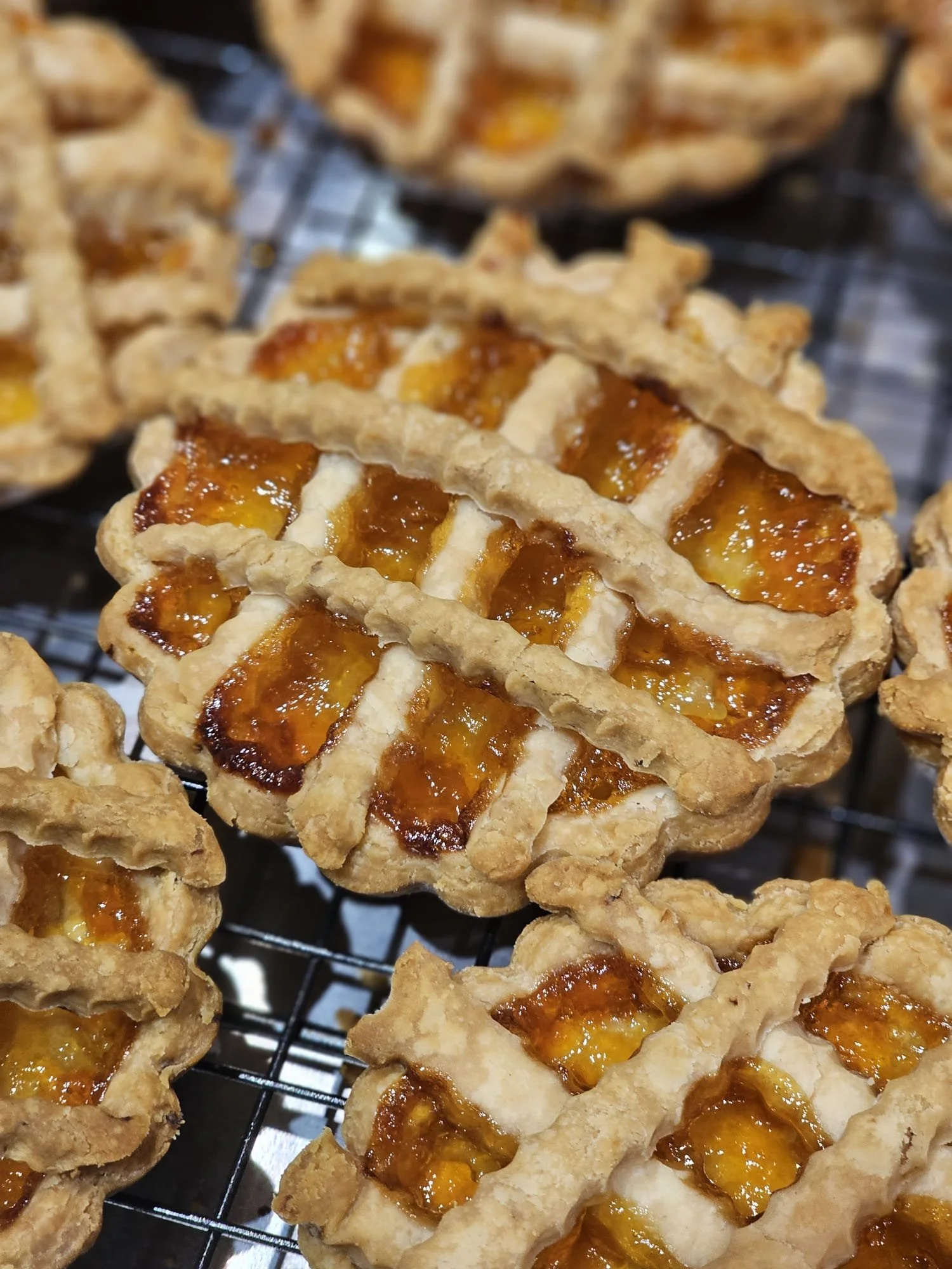 crostata apricot.jpg