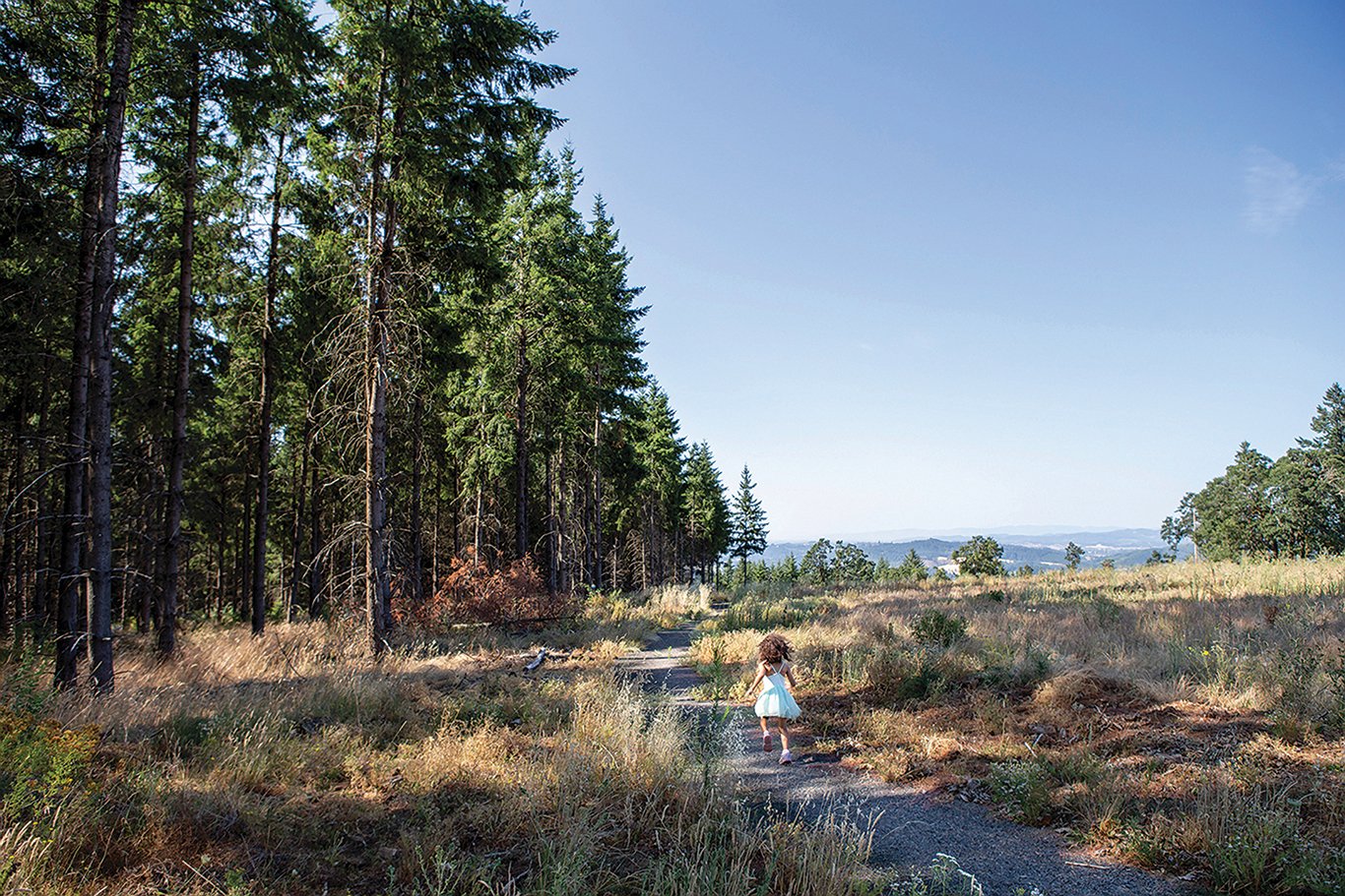 chehalem-ridge-forest-prairie-liminal-space.jpg