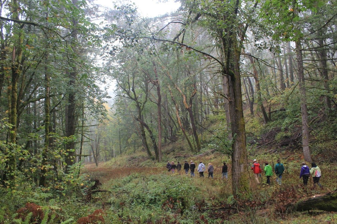 chehalem hike.jpeg