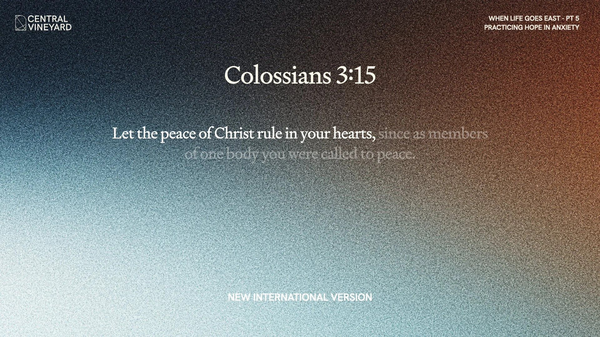 CV WIDE 2025.030.jpeg