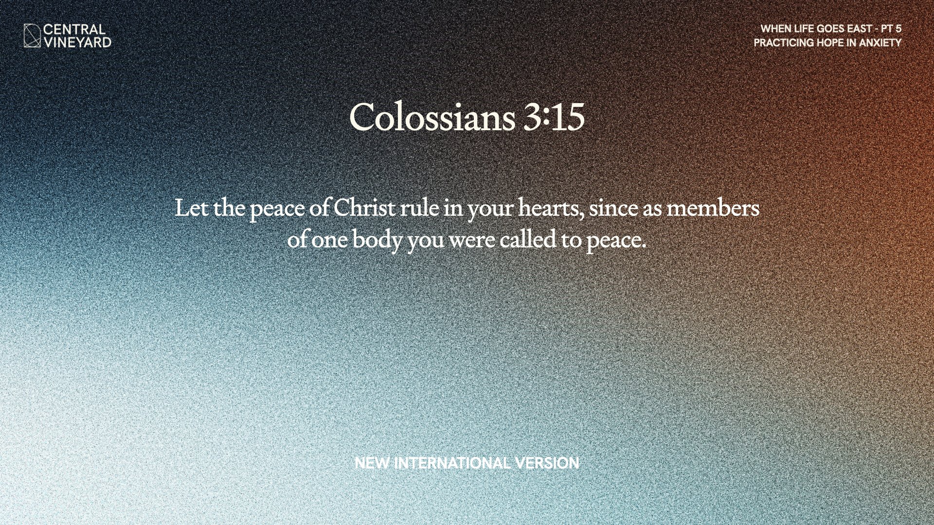 CV WIDE 2025.033.jpeg