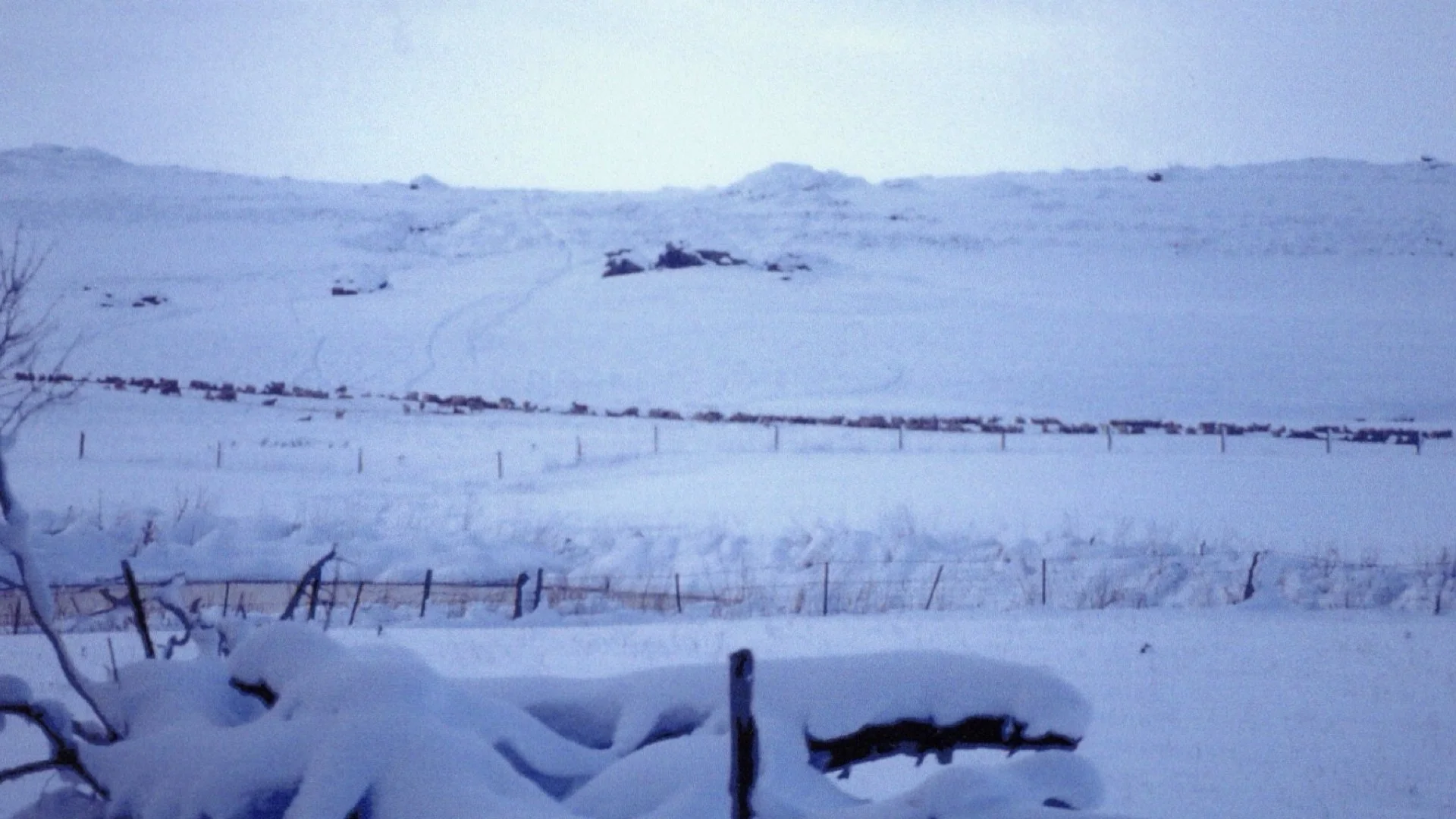 7 September.032.jpeg